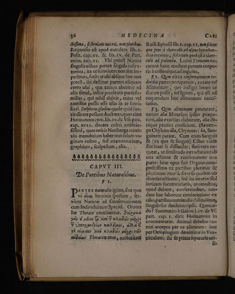 (fima , (i [evesatt ini vel, mon pluribus, Reíponfto eft apud eumdem lib. z. Polit. cap. xy. &amp;. lib.1v. de, Parz, anim. cap, vr. | Vbi poteft Natura fingulisufibus parare fingula inftru- mehta , ita utíeinvicém non fint im- peditura, facit: at ubi abfque hoc non poteft , ibi deftinat partem aliquam certo ufui ,, qua. tamen abutitur ad alia fimul , inftar prudentis patrisfa- milias , qui nihil abjicit ; cujus vel tantillus poffit effe ufüs in te fami- liari. Delpbicus gladiu quale quid fue- zit dicere poflunt Auctores,quos citat Hotmannus com.lib. 1v.de Vía parz, cap. xvri1. docere cultri artificio- fiflimi, quos nobis Noriberga mittit: ubi manubrium habet non folum va- ginam cultro , fed atramentarium; 2raphium , fcalpellum , alia. , . 5253333555255 CAPVT III. De Partibtis Naturalibus. Pi E S fiaturales igitur, ive quae 4A. 0 eive, hominis fpectant , fer- viunt Natura ad. Coníervationem cum Individuitum Speciei.. Omnes ha Thborace continentur. S'weoxa 9oip S jóyey (g. 2oro T. XA eid d. 7 Voy odyiuy xaASjsy, ao, C (T cUjvTRy 2er? Xe té Ty Ruffi Ephefii lib. r, cap. x. tom folum: que ftmt: à claviculis ad ufque bypocbon— dria vocans y fcd totum quod efl à clavi— culis ad pudenda. Latini Trancumvo-- carunt hanc mediam partem corpo risà collo u(quead inguina. Ls? $2. Que circa cotifervationem it dividui partes occupantür , curant vef? Alimentum ,- duo indiget homó üt durare poflit , velIgnem , qui eft ad! coquendunm hoc alimentum. neceí- farius.. $5. Que alimentum. procurant, earum 4l Materiam ipfius. praepa- rant, alie exactius elaborant, lie de- nique penitus conficiunt. Iflenem-- ps Chylum: s/s, Chymum: ba, San- guinem parant. Cum enim Sanguis: &amp; (ex quo fit fanguis) Cibus valde: fint inter fe dilfimiles; fieri vero ne- queat , ut fimilitudo introducatur ab: una actione &amp; conísquenter una. parte: hinc opus fuir Organo com- pofitiffimo ex pa:ribus plurimis. GC plurimum inter fe diverfis quidem ob diverfasactiones,, fed ira interim fibi invicem fuccenturiatis, ut omnibus; quod debent, conferentibus, tan- dem hac laborum confociatione ex cibo;partibusnutriendis diffimilimo; fanguisfiat fimilimusipfis. Quomo- do? Summatim é Galenil. iv. de Vf. part. cap. r. dicit Hofmannus in commentario. Animal debebat u- triti accepto per os alimento: hoc per Oefophagum demittitur in Ven- triculum; ibi fit prima feparatio uti- lis x