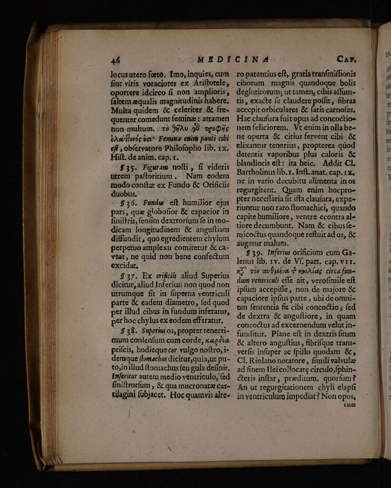 locusuteto foeto, Imo, inquies, cum fint vitis voraciotes ex Ariftotele; oportere idcirco fi non amplioris ; (altem aequalis magnicudinis habere, Multa quidem &amp; celeriter &amp; fre- quenter comedunt femine : attamen &amp;Aailovog 6v*- Femitta: etim pauci cibi eff , obíervatore Philofopho lib, x. Hiít. de anim. cap. r. $35. Figuram nofti, fi videris utrem paftoritium . Nam eodem modo coní(tat ex Fundo &amp; Orificiis duobus. | $256. Fundw eít humilior: ejus pars, qua globofior &amp; capacior in finiltris, fenüim dextroríum fe in mo- dicam longitudinem &amp; anguítiam diffundit , quo egredientem chylum perpetuo amplexu comitetur &amp; ca- veat, ne quid non bane confectum excidat. ; $37. Ex orificis aliud Superius dicitur, aliud Inferius: non quod non utrumque fit in füperna ventriculi parte &amp; eadem diametro, fed quod per illud cibus in fundum inferatur, per hoc chylusex eodem efferatur. $38. Superiui os, propter tenerti- mum confenfum cum corde, xa22ie prifcis, hodieque cor vulgo noftro, i- tojinillud ftomachus feu gula definit. Inferitur autem medio ventriculo; (ed finiftrorfum , &amp; qua mucronata cat- tagini fubjacet. Hoc quamvis altc- to patentius eft, gratia tranfmiffionis ciborum magnis quandoque. bolis deglutitorum; ut tamen, cibis affüm- tis, exacte fs claudere poffit, fibras accepit orbiculares &amp; fatis carnoías, Hac claufura fuit opus ad concoctio- nem feliciorem, Vt enimin olla be- ne operta &amp; citius fervent cibi. &amp; elixantur tenerius, propterea quod detentis vaporibus plus caloris &amp; blandioris eft: ita heic. Addit CI. Bartholinus lib. 1. Inft. anat. cap. 1x. ne in vario decubitu alimenta in os regurgitent, Quam enim hocpro- pter neceffaria fit ifta claufüra, expe- riuntur non raro ftomachici, quando capite humiliore ; ventre econtra al- tiore decumbunt. Nam &amp; cibusfe- micoctus quandoque refluit ad os, Gc augetur malum. $ 39. Inferiu orificium cum Ga- lenus lib. 1v. de Vf. part. cap. v1r. XL vo gvÜuéva d xeiAag circa fun- dum ventricali efe ait, verofimile eft ipfum accepifle, non de majore &amp; capaciore ipfius parte ; ubi deomni- um fententia fit cibi concoctio ; fed de dextra &amp; angufliore, in quam concoctus ad excernendum velut in- funditur. Plane eft in dextris fitum &amp; altero anguftius, fibri(que trans- verfis infuper ac fpiflo quodam &amp;, CI. Riolano notatore , fimili valvulae ad finem Hleicollocate circulo;fphin- Cteris inftar, preditum. quorfum? An ut regurgitationem chyli elapfi in ventriculum impediat ? Non opus, «uim