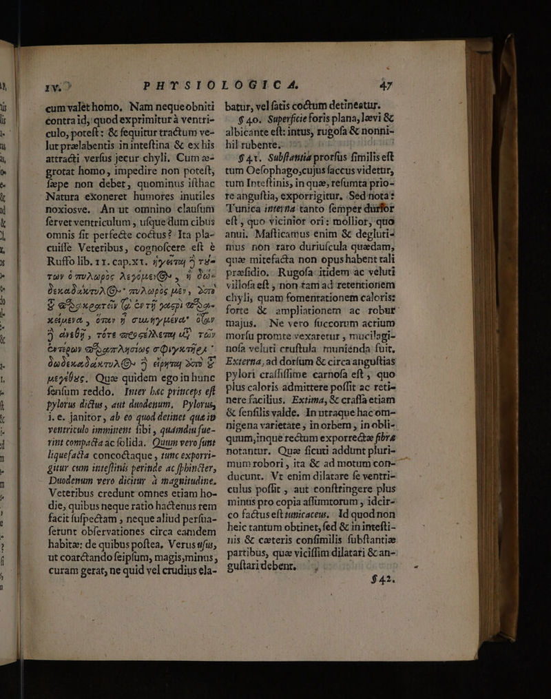 rM cum valet homo, Nam nequeobniti contraid, quod exprimiturà ventti- culo, poteft: &amp; fequitur tractum ve- lut praelabentis ininteftina &amp; ex his attracti verfus jecur chyli. Cum e- grotat homo impedire non poteft, fepe non debet, quominus iíthac Natura eXxoneret humores inutiles noxiosve. Án ut omnino claufuti fervet ventriculum , ufque dum cibus omnis fit perfecte coctus? Tta pla- cuile Veteribus, cognofcere efi &amp; Ruffo lib. 11. cap.xt. yeu ?) rg» TU óTUAGpoc AegouewM , dà One Dex adawiuA(B- mv AGpog uir, Dor $ aA exezrév (g 6rTfi oot6pi T6 S de Xeéptya , ost» 9 cuutrypéya* (or ? dy&amp;Üg , rór&amp; «xCoguiNemM My Tí CvstQoV G7 or Agoioe 0 Quyumie, ' Üm exa da TA 5 eipyra 2) € pige02c.' Quae quidem egoin hunc fenfum reddo. Ime b«c priticeps eft pylorus diclus , aut duodenum, | Pylorus, i. e. janitor, ab eo quod detinet que io ventriculo immiteit fibi, quamdiu fue- rint compacta acíolida. Quum vero futt liquefacta concoctaque , tuttc exporri- gitur cum inteflinis perinde ac [pbindler, Duodemum vero dicirur. à thagnitudine, Veteribus credunt omnes etiam ho- die, quibus neque ratio hactenus rem facit fufpectam , neque aliud perfua- ferunt obfervationes circa eamdem habitae: de quibus poftea, Verus ufus, ut coarctando feipfum, magis,minus; curam gerat; ne quid vel crudius ela- batur, vel fatis coctum detineatur. $ 40. Superficieforis plana, laevi &amp; albicánte eft: intus, rugofa &amp; nonni- hilrübente. --. ^ Op ups $4x. Subflantia prorfus fimilis eft tum Oefophago;cujus faccus videtür, tum [ntcftinis; in qua, refumta prio- re anguftia, exporrigitur, .Sed'nota? Tunica itera tanto femper durfor eft , quo vicinior ori: mollior, quo anui. Maflicamus enim &amp; degluti- fnus non raro duriuícula quaedam, quá mitefacta non opus habent rali prafidio.. Rugofa: itidem ac veluti villofa eft , non tam ad retentioriem chyli, quam fomenrationem caloris: forte &amp; ampliationem ac robur: majus. Ne vero fuccornm acrium moríu promte vexaretur , mucilagi- nofa veluti cruftula munienda fuit. Extertia, ad dorfum &amp; circa anguftias pylori crafhffime carnofa eft , quo plus caloris admittere poffit ac reti- nerefacilius, Extima, &amp; crafla etiam &amp; fenfilis valde. Inutraque hacom- nigena varietate ; inorbem , in obli-. quum;inque rectum exporre&amp;te fibre notantur. Que ficuti addunt pluri- mum robori , ita &amp; ad motum con- ducunt. Vr enim dilatare fe ventri- culus poffit , aut confttingere plus mints pro copia aflumtorum , idcir- co factuseftzunicacew. / Id quod non heic tantum obtinet, fed &amp; in inteíli- nis &amp; czteris confimilis fubftantiae partibus, que viciffim dilatari &amp; an- guftaridebent, |, | | $42.