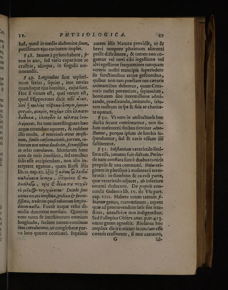 lud, quod in medio abdomine fitum, potiffimam ejus cavitatem implet. $ 48. Initium à pylorohabent , fi- sein in ano, fed varia capacitate ac craffitie, aliisque, in fingulis me- morandis. $ 49. Longitudime funt utpluri- mur fexies , fepties , imo novies quandoque ejus hominis , cujus funt. Hoc fi verum eft, quei verum eft, quod Hippocrates dicit z&amp; «ar. 2r) *) xeiAÍqe creQuuev&amp;vripoy opseios pUT MOV, UAXpOV , TI*CÉCUV CL Abo OY atque emendare oportet, &amp; reddere ifto modo, .4 ventriculo oritur itteffi- 10 fimilis conformatiottis, parvum, cu- bitorum non iimus duodecim, flexuofiffime it orbes comvolutum. Meníuram hanc non de totis inteftinis , fed tenuibus folis effe accipiendam , non alio in- terprete egemus , quam Ruffi iftis lib.11.cap.xt. €256 ) éizu (PETI SA ELLE, £VTEPAL dang C zz- Avcu(g , nés C Oba mE mu TO M (O» ruo avevamo. Deinde futt tenuia vocata ittteflina y prolixa ( flexuo- fiffima, tredecim quafi cubitorum longitu- dinem nacta. Fuerit itaque velut di- midia dum;taxat menfura. Quamvis vero tanta fit inteftinorum omnium longitudo, faciunt tamen continue fere convolutiones, ut conglobatae par- vo loco queant contineri. Inprimis autem iftis Natura providit, ut &amp; brevi tempore plurimum alimenti poffit diftribuere, &amp; tamen non co- gamur vel novi cibi ingeftione vel alvi egeflione frequentiore tamquam ventris noftri mancipia fuperíedere iis functionibus atque geftionibus, quibus non tam praflare nos caeteris animantibus debemus , quam Crea- toris noftri potentiam , fapieniam , bonitatem fine intermiffione admi- rando, praedicando, imitando, falu- tem noftram in fpe &amp; fide ac charita- te operari. $50. Vtveroin'anfractuofo hoc ductu fecure contineantur, non ío- lum mefenterii finibus firmiter adte- Gunttr , perque ipfum de lumbis fu- fpenduntur; fed &amp; cavis offium ilit fuftinentur. $ 51. Subflantiam ventriculo fimi- lima effe; jamante fuit dictum.Perin- de nam conflata funt é duabus tunicis propriis &amp; una communi. Hujwori- ginem in plerifque à mefenterii mem- branis: in duodeno &amp; ea coli parte, qua ventriculo adjacet , ab inferiore omenti deducunt. De propria con- tendit Galenuslib. xv. de Vfu part. cap. vr11. Habere unum tantum fi- bravum genus, tranveríarum , utpote qua ad promovendum fatis fint inte- ftinis, attractrice non indigentibus. Sed Fallopius Obferv.anat. p.m.412. omne genus agnofcit. Riolanus boc amplius dicittunicam fecundam effe ceteris crafTiorem , fi non catneam, G fal-