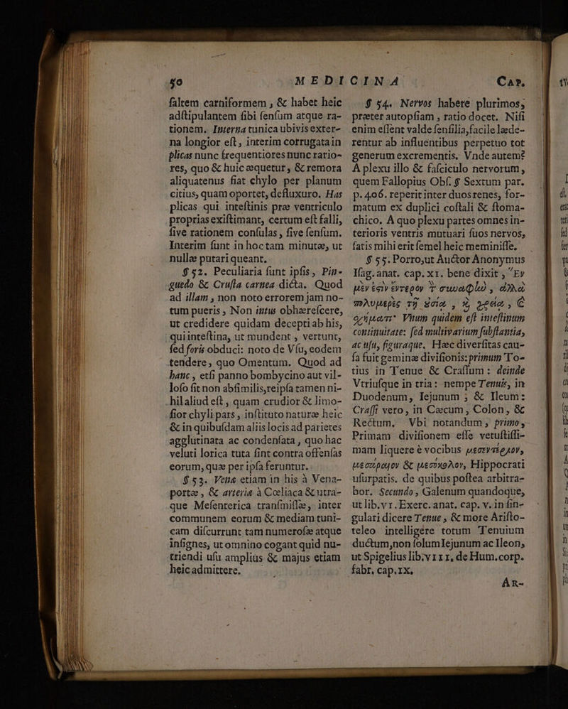 50 faltem carniformem , &amp; habet heic adftipulantem fibi fenfum atque ra- tionem. Inpterga tunica ubivisexter- na longior eft; interim corrugatain plicas nunc frequentiores nunc rario- res, quo &amp; huic sequetur , &amp; remora aliquatenus fiat chylo per planum citius, quam oportet, defluxuro. Has plicas qui inteftinis prae ventriculo propriasexiftimant, certum eft falli, five rationem coní(ülas , five fenfum. Interim funt in hoctam minuta, ut nulla putari queant. $ 52. Peculiaria funt ipfis, Pin guedo &amp;c Cru[la carnea dicta. Quod ad illam , non noto errorem jam no- tum pueris ; Non inti obharefcere, ut credidere quidam deceptiab his, quiinteftina, ut mundent , vertunt, fed foris obduci: noto de Víu, eodem tendere, quo Omentum. Quod ad batic , etfi panno bombycino aut vil- lofo fit non abfimilis,reipfa tamen ni- hilaliud eff , quam crudior &amp; limo- fior chyli pars , inftituto naturae heic &amp; in quibuídam aliis locis ad parietes agglutinata ac condeníata , quo hac veluti lorica tuta fint contra offenfas eorum, qua per ipía feruntur. $53. Vett&amp; etiam in his à Vena- porte , &amp; arrerie à Cocliaca &amp; utra- communem eorum &amp; mediam tuni- cam diícurrunt tam numerofa atque infignes, utomnino cogant quid nu- triendi ufü ampliüs &amp;&amp; majus etiam heicadmittere. — | Car, $ 54. Nervos habete plurimos, praeter autopfiam , ratio docet. Nifi enim eflent valde fenfilia,facile laede- rentur ab influentibus perpetuo tot generum excrementis. Vnde autem? ÀÁ plexu illo &amp; faíciculo nervorum, quem Fallopius Obf. $ Sextum par. p- 406. reperit inter duosrenes, for- matu eX duplici coftali &amp; ftoma- chico. À quo plexu partes omnes in- terioris ventris mutuari fuos nervos; fatis mihi erit femel heic meminiffe. Ifag. anat. cap. x 1r. bene dixit , Ev py &amp;civ £vrepoy T ewe plo , da weAvpépic Tj Soi , Z, vga, € oznpueem* Vinum quidem eft inteflinum continuitate: fed multivarium fubflautia, ac ufu, figurague, Haec diverfitas cau- fa fuit geminae divifionis: primum T o- tius in Tenue &amp; Craflum: deinde Vtriufque in tria: nempe Tenuir, in Duodenum, lejunum ; &amp; Ileum: Cra[fi vero, in Ceecum , Colon, &amp; Rectum. Primam divifionem efle vetuftiffi- mam liquere € vocibus pseryatejov, Ueocpojoy 8b peooxoAor, Hippocrati ufurpatis. de quibus poftea arbitra- bor. Secutido ; Galenum quandoque, gulari dicere Tet'ue ; &amp; more Arifto- teleo intelligere totum Tenuium ductum,non folumIejunum ac Ileon; ut Spigelius lib:v 11 1, de Hum. corp. fabr. cap.rx. : ÁAR- f