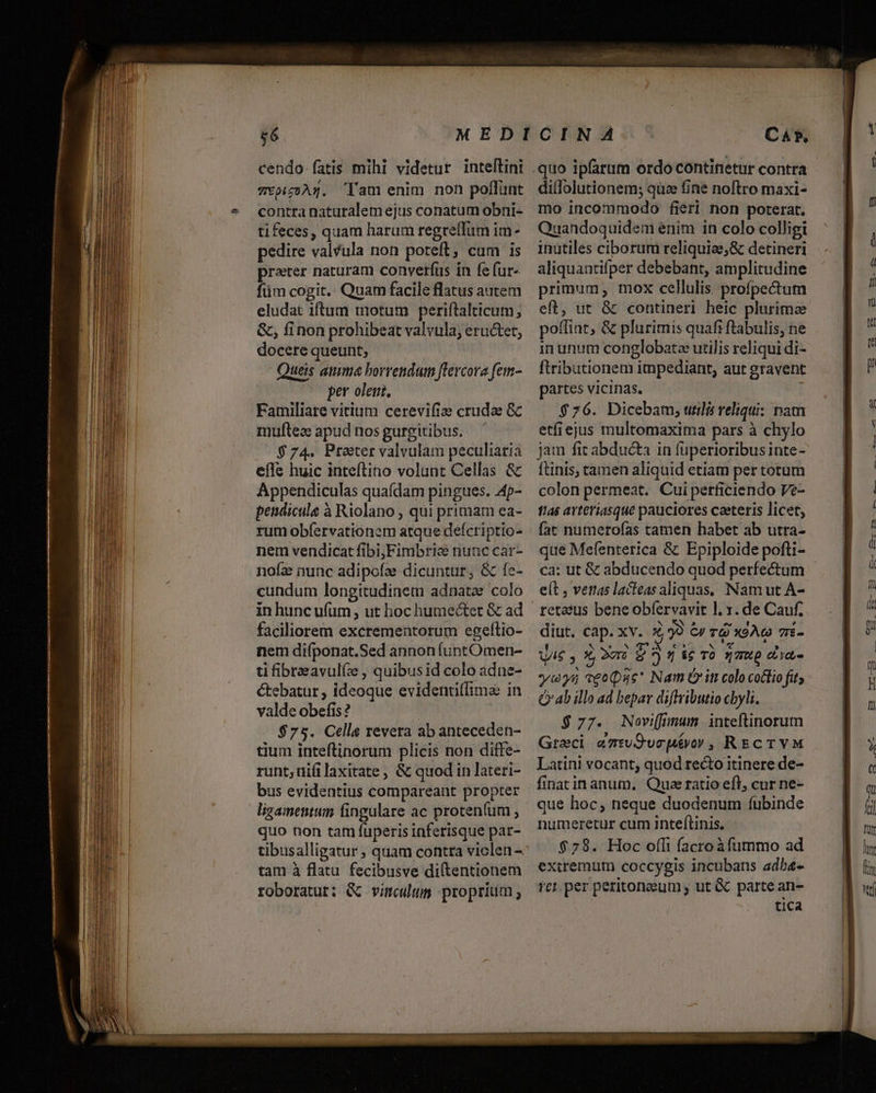 £6 cendo-fatis mihi videtur inteltini Tvpiz3A4. lam enim non poflunt contra naturalem ejus conatum obni- tifeces, quam harum regreffum im- pedire valcula non poteft; cum is prater naturam converfüs ín fe fur- füm cogit.: Quam facile flatus autem eludat iftum totum periftalticum; &amp;, finon prohibeat valvula; eructet, docere queunt; Queis amma borrendum fevcora fem- per olet, Familiare vitium cerevifiae crudae GC mulftees apud nos gurgitibus. $74. Prater valvulam peculiaria efle huic inteftino volunt Cellas &amp; Appendiculas quafdam pingues. 4p- pendicule à Riolano , qui primam ea- rum obíervationem atque defcriptio- nem vendicat fibi,Fimbric nunc car- nofa nunc adipofze dicuntur, &amp; fe- cundum longitudinem adnatze colo in hunc ufum , ut hoc humectet &amp; ad faciliorem excrementorum egeltio- nem diíponat.Sed annonfuntOmen- ti fibraeavul(ie , quibus id colo adne- valde obefis? $75. Celle revera ab anteceden- tium inteflinorum plicis non diffe- runt; üifilaxitate, &amp; quod in lateri- bus evidentius compareant propter ligamentum fingulare ac protentum , quo non tam fuperis inferisque par- tibusalligatur ; quam contra viclen tam à flatu fecibusve diltentionem roboratut: &amp; vimcuum proprium ; mo incommodo fieri non porerat. Quandoquidem enim in colo colligi inutiles ciborum reliquiae;&amp; detineri aliquantifper debebant, amplitudine primum, mox cellulis profpecum eft, ut &amp; contineri heic plurima poflint, &amp; plurimis quafi ftabulis, ne in unum conglobatze utilis reliqui di- ftributionem impediant, aut gravent partes vicinas. $76. Dicebam, wilis reliqui: nam etfiejus tnultomaxima pars à chylo jam fit abducta in füperioribusinte- ftinis, tamen aliquid etiam per totum colon permeat. Cuiperficiendo Ve- 145 avteriasque pauciores caeteris licet, fat numerofas tamen habet ab utra- que Mefenterica &amp; Epiploide pofti- ca: ut &amp; abducendo quod perfectum et , vettas lacteas aliquas, Nam ut À- retaeus bene obfervavit l. 1. de Cauf. diut. cap. xv. £99 €» rd x2A« 7ii- ' Ne SUR I DE NS E , V/G y 3, 276 8?) fj 86 TO 97MQ cor,» y)5 veoae* Nam rin colo coétio fit; Q'ab illo ad bepar diftributio cbyli..— $77. Noviffinum inteftinorum Greci em:vOueuévoy , REC TVM Latini vocant, quod recto itinere de- finatin anum, Quae ratio efl, cur ne- que hoc, neque duodenum fubinde numeretur cum inteftinis. $28. Hoc olli facro àfummo ad extremum coccygis incubans adbe- fct per peritongum ut &amp; partean- tica