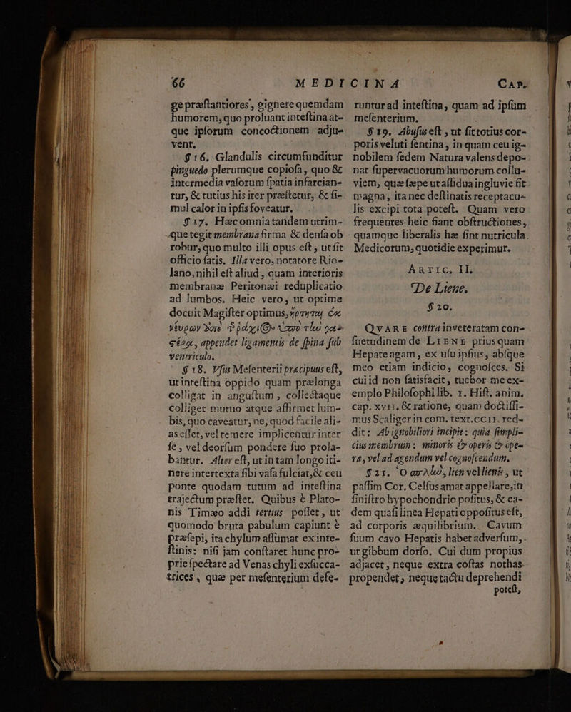 ge praflantiores, gignere quemdam humorem;quo proluant inteftina at- que ipforum concoctionem -adju- vent. $16. Glandulis circumfunditur pinguedo plerumque copiofa , quo &amp; intermedia vaforum fpatia infarcian- tur, &amp; tutius his iter praeftetur, &amp; fi- mul calor in ipfisfoveatur. $17. Hacomniatandem utrim- que tegit membrana firraa &amp; denía ob robur,quo tulto illi opus eft ; ut fit officio fatis. Illa vero, notatore Rio- lano, nihil eft aliud , quam interioris membrana Peritonai reduplicatio ad lumbos. Heic vero, ut optime docuit Magifter optimus, pz cx VéUpaiy 2v $ oy (Ox omo Tl) 525 €é2x , appeudet ligamentis de [bina fub ventriculo. $ 18. Vfis Mefenterii pracipuus eft, utinteftina oppido quam pralonga colligat in anguftum , collectaque coliiget muruo atque affirmet lum- bis, quo caveatur, ne, quod facile ali- aseffet, vel remere implicentur inter fe , vel deorfum pondere fuo prola- bantur. Alrer eft, utin tam longo iti- nere intertexta fibi vafa fulciat,&amp; ceu ponte quodam tutum ad inteftina trajectum praftet. Quibus € Plato- nis Timao addi tertius pollet, ut quomodo bruta pabulum capiunt € prafepi, ita chylum aflumat ex inte- ftinis: nii jam conftaret hunc pro- prie fpectare ad Venas chyli exfucca- trices , qua per mefenterium defe- runtur ad inteftina, quam ad ipfum mefenterium. $ 19. Abufus eft ; ut fittotius cor- poris veluti fentina , in quam ceu ig- nobilem fedem Natura valens depo- nat fupervacuorum humorum colu- vien, quiz (epe utaffidua ingluvie fit tnagna, ita nec deftinatis receptacu« lis excipi tota poteft. Quam vero frequentes heic fiant obftructiones, Medicorum, quotidie experimur. GARTIIC ID *De Lteze. $ 20. QvARE cotitrainvcteratam core . fuetudinem de Lirwz priusquam. Hepate agam, ex ufuipfius, abíque meo etiam indicio, cognolíces. Si cuiid non fatisfacit, tuebor meex- emplo Philofophilib. x. Hift, anim. cap. xvir. &amp; ratione; quam doctiffi- mus Scaliger in com. text.cc11. red- dit: Ab ignobiliori incipit: quia fimpli- cius zpembrum ; minoris C» operis &amp; ope- 14, vel ad agendum vel cogno[cendum. $21. 'O av Ale), lien vellienis , ut paflim Cor. Celfus amat appellare, finiftro hypochondrio pofitus, &amp; ea- dem quafi linea Hepati oppofitus eft, - ad corporis equilibrium... Cavum fuum cavo Hepatis habet adverfum, ut gibbum dorfo. Cui dum propius adjacet , neque extra coflas nothas. propendet, neque tactu deprehendi potcít,