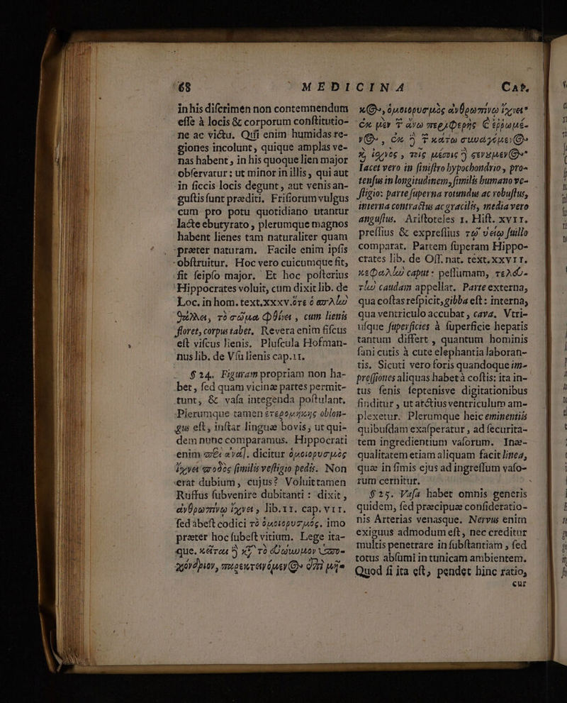 inhis difcrimen non contemnendum effe à locis &amp; corporum conftitutio- ne ac victu. Qrfi enim humidas re- siones incolunt ; quique amplas ve- nas habent , in his quoque lien major obfervatur ; ut minor in illis , quiaut in ficcis locis degunt , aut venisan- -gufítisfunt predio. Frifiorum vulgus cum pro potu quotidiano utantur lacte ebutyrato , plerumque magnos habent lienes tam naturaliter quam prater naturam. Facile enim ipfis obftruitur. Hoc vero cuicumque fit, fit feipfo major. Et hoc pofterius Hippocrates voluit, cum dixit lib. de Loc. in hom. text.xxxv.0re ó ax Abo Oe, ro co CDÜbe , cum lienis floret, corpus tabet,, Revera enim ficus eft vifcus lienis. Plufcula Hofman- nus lib. de Víu lienis cap.11. $24. Figuram propriam non ha- bet, fed quam vicina partes permit- tunt, &amp; vaía integenda poítulant. Plerumque tamen ereeejmoge oblon- que elt, inftar linguae bovis; ut qui- dem nunc comparamus. Hippocrati enim c£ «và]. dicitur ünCI0pUC A05 Lye arodóc [fimilis veftigto pedis. Non erat dubium, cujus? Voluittamen Ruffus fubvenire dubitanti : dixit , eÜpmmivto ioa , lib.x1. cap. vir. fedàbeft codici rà ópeiepuz Aoc. imo prater hoc fubeft vitium. Lege ita- que. x&amp;rau ^) x. 0 dUgwo Ua» Veo xD», óstitpue ag oy ÜomrivO orit? Cx uiv T avi meg) Qepne C éjimué- vC, cx ? T xdTt cuve yeueY (Oo x íqzvog , 76 MCI ?) 61V )A£ (G)»* latet vero in finiffro bypocbondrio , pro^ tenfus im longitudimem, fimilis bumano vc- Jf[igio: parte fuperna rotumdus ac vobuflus, ititera cottractus ac gracilis, media vero angufhw. |. Ariftoteles 1. Hift. xv1r. preífius &amp; expreflius re vete fuillo comparat. Partem füperam Hippo- crates Iib. de Off. nat. text. xxv 1r. x£QoAL) capit: peffümam, reA«- rho caudam appellar. Parte externa, qua coftas refpicit; gibba eft : interna; qua ventriculo accubat , cava. Vtri- ufque fuperficies à fuperficie hepatis tantum differt , quantum hominis fani cutis à cute elephantia laboran- tis. Sicuti vero foris quandoque i- preffiones aliquas habetà coftis: ita in- tus fenis feptenisve digitationibus finditur , ut arctiusventriculum am- plexetur. Plerumque heic eminentia quibufdam exafperatur , ad fecurita- tem ingredientium valorum. Ina- qualitatem etiam aliquam facit linea, rum cernitur. | $25. Va[a habet omnis generis quidem, fed praecipua confideratio- nis Árterias venasque. Nervus enim exiguus admodum eft, nec creditur multis penetrare in fubftantiam ; fed totus abíümi in tunicam ambientem. Quod fi jta eft, pendet hinc ratio, eur