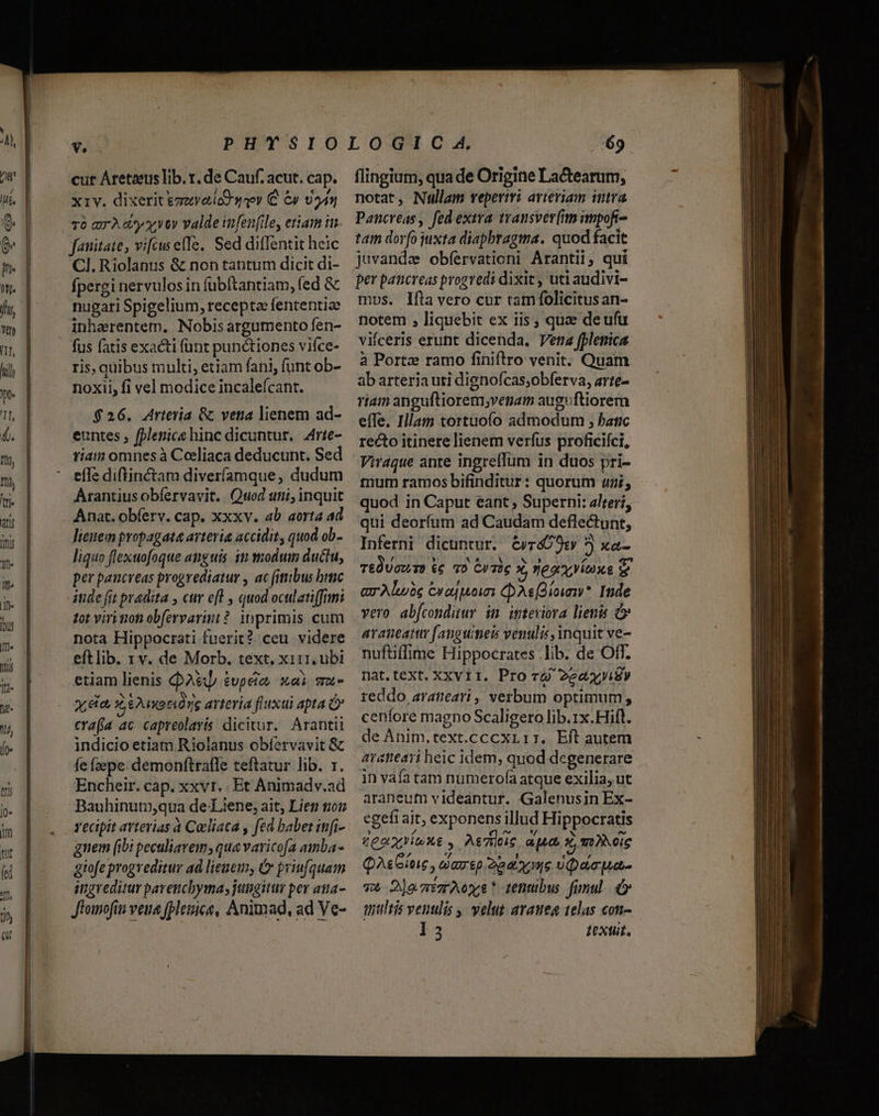 Án cur Aretzeus lib. r. de Cauf. acut. cap. T6 amr A y y vt» valde infen(ile, eriam in fanitate, vifcus effe, Sed dillentit heic CI. Riolanus &amp; non tantum dicit di- fpergi nervulosin fübftantiam, fed &amp; nugari Spigelium, recepta fententice inharentem, Nobis argumento fen- fus fatis exacti fünt punctiones vifce- ris, quibus multi, etiam fani, funt ob- noxii, fi vel modice incaleícant. $26. Arteria &amp; vetia lienem ad- euntes , fplenice hinc dicuntur. | 4rte- riam omnes à Ceeliaca deducunt. Sed effe diftinctam diverfamque, dudum Arantius obíervavit. Quod uni, inquit Anat. obíerv. cap. xxxv. ab aorta ad lienem propagata arteria accidit, quod ob- liquo flexuofoque anguis. iti modum ductu, per pancveas progrediatur , ac fitibus brc tot virimon obfervarint? inprimis cum nota Hippocrati fuerit? ceu videre eftlib. rv. de Morb. text. x111, ubi etiam lienis QA&amp; ivpcia, ai mau- PAZ) Zeune arteria fluxui apta Ó crafja ac capreolaris dicitur. Arantii indicio etiam Riolanus obfervavit &amp; fe faepe. demonftrafle teftatur lib. r. Encheir. cap. xxvt.. Et Animadv.ad Bauhinum,qua de Liene, ait; Lien £01 recipit arterias à Cacliaca , fed babet infi- gnem [ibi peculiavem; qua varicofa ainba- giofe progreditur ad lienem, ( priufquam ingreditur pavenchymay jungitur per atta- Jioinofin vena fplenice, Animad, ad Ve- flingium, qua de Origine Lactearum, Pancreas, fed extra trausver(im impofi- tam dorfo juxta diapbragma. quod facit juvanda obíervationi Arantil, qui per pancreas progredi dixit , uti audivi- ms. Ifa vero cur tam folicitus an- notem , liquebit ex iis ; quae de ufu viíceris erunt dicenda. Pena fplenica à Portz ramo finiftro venit. Quam ab arteria uti dignofcas;obferva, arte- ríam anguftiorem;venam auguftiorem effe. Illam tortuofo admodum ; bac recto itinere lienem verfus proficifci, Viraque ante ingreflum in duos pri- tnum ramos bifinditur: quorum «uri, quod in Caput eant, Superni: alteri, qui deoríum ad Caudam deflectunt, Inferni dicuntur. &amp;vré09e 5) xa- T&amp;QUowT» kc TO C/TG x ea Vias S au Albe exaqpoini CoAs(diovy* Inde vero abfcondiurv im inteviora lienis à araneatur [anguimeis venulis, inquit ve- nuftiffime Hippocrates .lib. de Off. nat. text. XXvi1. Pro r6 2e4 xyi8y reddo arateari, verbum optimum; cenfore magno Scaligero lib.1x.Hift. de Anim.text.cccxr 17. Eft autem avatieari heic idem, quod degenerare in vafa tam numerofa atque exilia, ut araneum videantur. Galenusin Ex- egeft ait, exponens illud Hippocratis Ceo ap iaxe , AeTteic, apta, x moie QAsGitie , uiamp 2o dite poit v 2)eemACys renubws fumul d» qntltis venulis , veluz aramea telas con- l3 Iextt.