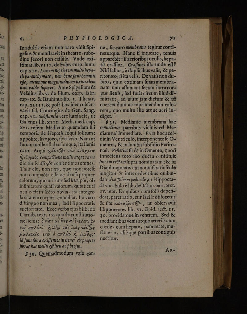 - Inadultis etiam tion raro viditSpr gelius &amp; monftravit in theatro, rube- dine Jecori non ceffiffe. Vnde exi- ftimat lib.y1 1r. de Fabr. corp. hum. cap.x1v. Lietiem trigviorem multo bepa- tis parencbymate , non. bene [aui bomimis effe, utcumque magnitudimem traturaleimn son. valde fuperet.. AnteSpigelium &amp; Vefàlius lib. v. de Hum. corp. fabr. cap. 1x. &amp; Bauhinuslib. 1. Theatr. cap. xu 111. &amp; poft hos idem obfer- vavit Cl. Conringius de Gen, Sang. cap. vx. Subflantia vere lutofaeft , ut xvi. refert Medicum quemdam fui temporis de Hepatis loqui folitum; appofite, five joco, fiveferio. Nam ut lutum molle cft denfutuque; italienis Ü c'esuóc compattione mollis atque vavus dicitur Ruffo,&amp; coníentimus omnes. Talis eft, noncaro, qua non poteft non compacta efle ac denfa propter calorem;quo uritur ? fed lienipíe , ob infinitatem quafi vaforum, qua ficuti oculis eft in fecto obvia , ita integro laxitatem corpori conciliat. Ita vero diftinguo non mea , fed Hippocratis auctoritate, Ecce verba ejus e lib. de Carnib. text. 1x. qua de conítitutio- ne lienis: 6 eeu &amp;4 t&amp;6 ai SVeS oet Cy TG gr^Lo d 2ja E; neg iUc / , « NEUEN Su paAoxóg £e O ez ALo * iygàgg* id fusit fibva exiflemes in liene C proper fibras bas mollis eft licn ac fibvofus. $30, Quemadmodum vafa car- ne , fic caro membratia tepitut conti- neturque. Hanc fi intueare , tenuis apparebit : fi acrioribus oculis, hepa- tis craffior. Craffities ifta unde eft? Nifi fallor , à duplicibus vafis, &amp; pe- ritonzo, fiita velis. De vafisnon du- bito; quin extimam fuam membra- nam non aflumant fecum intra cor- pus lienis , fed foris circum illud di- mittant, ad ufum jam dictum &amp; ad coercendum ac reprimendum calo- rem , quo multo ille atque acri in- diget. | $351. Mediante membrana hac cotneclirur partibus vicinis ve] Me- mento , &amp; inlurmbis fubfidio Perito- nae, Poflerius fit &amp; in Omento, qnod Inieam rectam fnpra nominatam ; &amp; in Diaphragmate, cui nonnifi rariufcule jungitur &amp; intercedentibus quibuf- dam dia vorm pediculis ut Hippocra- tis vocabulo e lib.deOctim.part.text. 1v. utar. Ex quibus cum foli: depen- deat, paret ratio, cur facile diflocetur &amp; fiat xardppov O» , ut obfervavit Hippocrates lib. vr. Epid. fect. 1r. 30. procidatque in ventrem. Sed &amp; corde , cum hepate, pancreate,me- fenteric , aliisque partibus contiguis nectitur. ÁRn- n |OO——Wm—mR———À — C PR