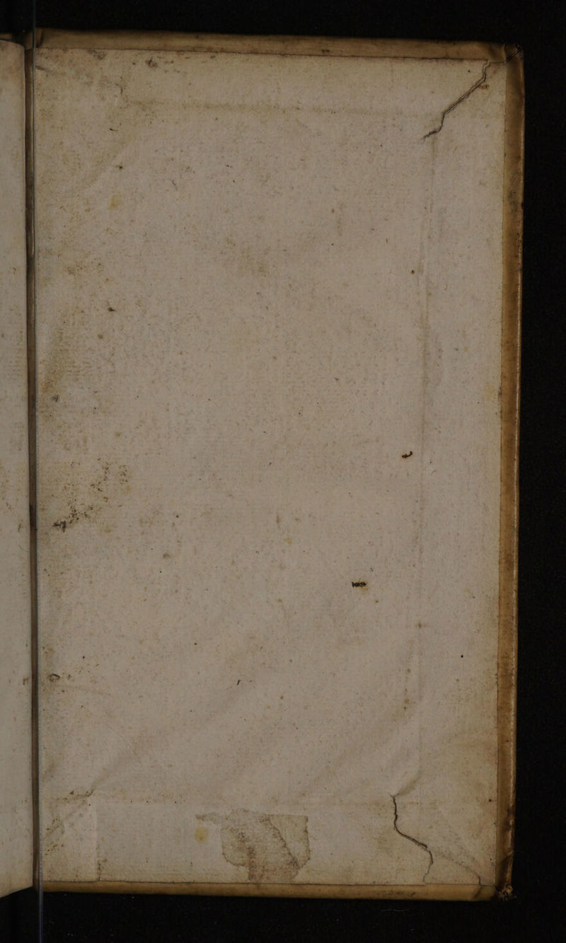 TESISCHIE Nn OU S ns in atm omn P m Tatum romans