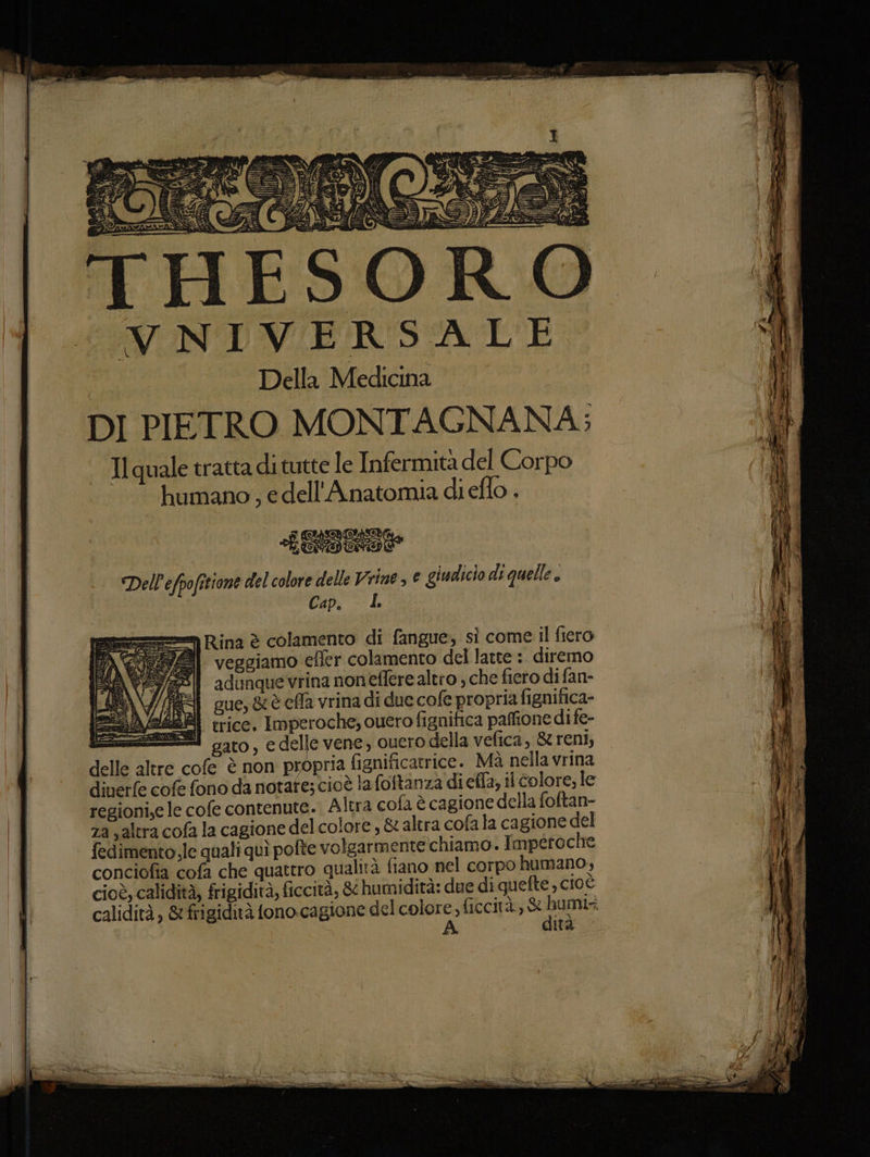 VNIVERSALE Della Medicina DI PIETRO MONTAGNANA; Ilquale tratta di tutte le Infermità del Corpo humano, e dell'A natomia di eflo . gore = Rina è colamento di fangue, sì come il fiero veggiamo effer colamento del latte :. diremo adunque vrina noneffere altro ; che fiero di fan- gs gue,&ècfla vrina di due cofe propria fignifica- Ae trice. Imperoche, ouero fignifica paffione di fe- SZ gato, edelle vene, cuero della vefica, St reni, delle altre cofe è non propria fignificatrice. Mà nella vrina diuerfe cofe fono da notare; cioè la foftanza di efla; il colore, le regioni,e le cofe contenute. Altra cofa è cagione della foftan- za saltra cofa la cagione del colore, & altra cofa la cagione del fedimento,le quali quì pofte volgarmente chiamo. Imperoche conciofia cofa che quattro qualità fiano nel corpo humano, cioè, calidità, frigidità, ficcità, & humidità: due di quefte , cioè calidità, &frigidità fono.cagione del colore; ficcità, & reca A Ha.