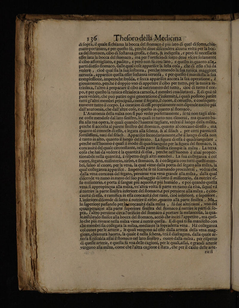 e “ 136 Theforodella Medicina di fopra,.il quale fichiama la bocca del ftomaco è più lato di quel difotto,chia- mato portinaro, e per quefto fù, perche deue difcendere alcuna volta perla boc- ca delftomaco; cibo di foftanza groffa, e dura, & indigefta ; e però fi neceffario efferlata la bocca del ftomaco, ma perl’oreficio:di fotto deue vfcire folamente ilcibo affottigliato, e padito , e però nonfù cosilato ; e quefto.in quanto alle» parti di effo ftomaco, dallequalcofe apparifce la fefta cofa , che di effo s'hà da vedere: , cioè qualfiala fua foftanza, perche tenendo la fua tunica. maggiore, neruofa , apparifce quella effer foftanza neruofa , € per quefto è manifetta la fua compleffione, imperoche fredda, e fecca apparifce ancora la fua operatione , è giouamento, perche è doppio vno di appetere il cibo per tutto, per la tunica in- trinfeca, l’altro à preparare il cibo al nutrimento deltutto, cioè di tutto il cor- po; € per quefto la tunica eftrinfeca carnofa, è membri coadiutanti. Ediquà tù puoi vedere, che può patire ogni generatione d’infermità, i quali poffono patire tutti gl’altri membri principali,.come il fegato,il cuore, ilceruello, e confequen- temente tutto il corpo, La curation di effi propriamente nondipende molto pit dall’anatomia, che dall’altre cofe, e quefto in quanto al ftomaco. L’Anatomia della milza non fi può veder perfettamente ; fe tù non tagli alcu- ne cofte mendofe dal lato finiftro, le quali intutto non eleuerai, ma quanto ba- fta alla tua opera; le quali quando l’hauerai tagliate, vedrai il luogo della milza, perche fi accofta al parete finitro del ftomaco, quanto alconcauo dieffo , ma quanto al connefo dieffo, e legata alla fchena, & al fifach , per certi pannicoli fottiliffimi, nati dal fifach. ‘Apparifcefecondariamente,che illuogo di effa non è tanto in alto, quanto illuogo delferato. .La figura di effa è quadriangulare , perche nell’huomo è quafi à modo di quadriangolo per la figura del ftomaco, la concauità del quale circonftante, nella parte finiftra riempie la milza. La terza cofa che hai da vedere è la quantità di efsa, perche nell'uomo è afsai propor- tionabile nella quantità, a rifpetto degli altri membri. La fua colleganza è col cuore; fegato, mifinterio, zirbo, e ftomaco, & è collegata con tutti queftimem- bri, faluo al cuore; perla vena, la qual viene dalla porta del fegato alla milza, la qual colleganza apparifce. Imperoche fe tù fcarnando procederai ». vedraic dalla vena concaua del fegato, peruiene vna vena grande allamilza , dalla qual difcende vn ramo in mezo del fuo pafsaggio di fotto il mifinterio, da nutrire ef- {o mifinterio, e porta ilfangue più aquofo;e più humido., e poi quando quetta vena fi appropinqua alla milza, vn’altra volta fi parte vn ramo da efsa, ilqualvà ànutrire la parte finiftra inferiore del tomaco,e poi peruiene alla milza ; e:con- cauità diefla, e ramifica in effa concauità due rami, cioè inferiorè; e fuperiore . L’inferioredifcende di fotto à nutrire il zirbo squanto alla parte finiftra.. Ma, lafuperiore paffando perlasconcauità dalla milza :, fà due altrirami , ‘vno dei qualiperuiene alla parte fuperiore finiftra del ftomaco à nutrire le parti di fo- pra». l’altro peruiene circa l’orificio del ftomaco à portare la melancolia, la qua- le;ipftilando fluifce alla bocca del ftomaco, acciò che inciti l'appetito , ma quel- Jo che più rimane nella milza viene à nutrir quella. Ediquà ti fia manifefto con chemembri fia collegata la milza, mediante la fopradetta vena. Ha colleganza colcuore perle arterie, le quali vengono ad effo dalla arteria della vena mag- giore, chiamata haorta, la quale è nella fchena, trà il diafragma, dalla quale ar- teria firifcalda affaiil ftomaco nel lato finiftro , cuero dalla milza, per rifpetto di quefte arterie, e quefta fù vna delle cagioni, perle quali,affai, e grandi arterie vengono alla milza, come che l’altra cagione è ftata , che per il caldo delle vg rie fi