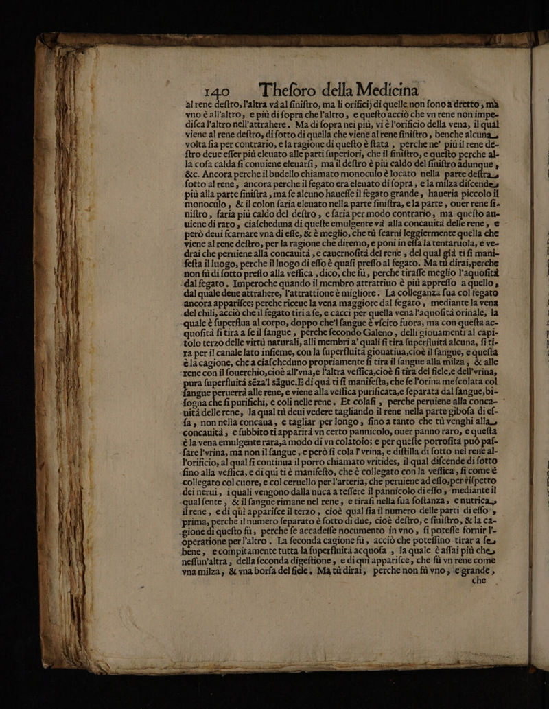 al rene deftro; l'altra và al finiftro, ma li orifici) di quellenon fono a dretto, mà vno è all’altro, e più di fopra che l’altro , e quefto acciò che vn rene non impe- difca l’altro nell’attrahere. Madi fopra nei più, vi è l’orificio della vena, il qual viene al rene deftro, di fotto di quella che viene al rene finiftro , benche alcuna, volta fia per contrario, ela ragione di quefto è ftata , perche ne’ più il rene de- ftro deue effer più eleuato alle parti fuperiori, che il finiftro, e quefto perche al- la cofa calda fi conuiene eleuarfi, ma il deftro è piu caldo del finiftro adunque » &amp;c. Ancora perche ilbudello chiamato monoculo è locato nella parte deftra, fotto alrene, ancora perche il fegato era elenato di fopra, e la milza difcendes più alla parte finiftra , ma fe alcuno hauefle il fegato grande , haueria piccolo il ‘monoculo , &amp;ilcolon faria eleuato nella parte finiftra, ela parre , ouer rene fis niftro , faria più caldo del deftro , efaria per modo contrario, ma quefto au- uiene di raro , ciafcheduna di quefte emulgente và alla concauità delle rene, e però deui fcarnare vna di effe, &amp; è meglio, che tù fcarni leggiermente quella che viene al rene deftro, per la ragione che diremo, e poni in eifa la tentaruola, e ve- drai che peruiene alla concauità , e cauernofità del rene , del qual già ti fi mani- fefta il luogo, perche il luogo di effo è quafi preflo al fegato. Ma tù dirai,perche non fù di fotto preflo alla veffica , dico, che fù, perche tiraffe meglio l'aquofità ‘dal fegato. Imperoche quando il membro attrattiuo è più appreffo a quello $ dal quale deue attrahere, l’attrattione è migliore. La colleganza fua col fegato ancora apparifce;s perche riceue la vena maggiore dal fegato , mediante la vena delchili,acciò che il fegato tiri a fe, e cacci per quella vena l'aquofità orinale, la «quale è fuperflua al corpo, doppo che’l fangue è vfcito fuora, ma conquefta ac- quofità fi tira a feil fangue , perche fecondo Galeno » delli siocuamenti al capi- è la cagione, che a ciafcheduno propriamente fi tira il fangue alla milza; &amp; alle ‘rene con il fouerchio;cioè all’vna;e l’altra veffica,cioè fi tira del fiele,e dell’vrina, pura fuperfluità séza’l sigue.E di qua ti fi manifefta, che fel’orina mefcolata col ‘fangue peruerrà alle rene, e viene alla veilica purificata,e feparata dal fangue,bi- «mità delle rene, la qualtiì deui vedere tagliando il rene nella parte gibofa di ef- fa, nonnellaconcaua, e tagliar perlongo, fino a tanto che tù venghi alla, è la vena emulgente rara,a modo di vn colatoio; € per quefte porrofità può paf- Porificio, al qual fi continua il porro chiamato vritides, il qual difcende di fotto ‘fino alla veflica; e di qui ti è manifefto, che è collegato conla veflica’, ficome è collegato col cuore; e col ceruello perl’arteria, che peruiene ad eflospertifpetto dei nerui, iquali vengono dalla nuca a teffere il pannicolo di effo 3 mediante il .qualfente , &amp;ilfanguerimane nel rene e tirafi nella fua foftanza, enutrica, ilrene, edi quì apparifce ilterzo, cioè qual fia il numero delle parti dieffo', prima, perche il numero feparato è fotto di due, cioè deftro, e finiftro, &amp; la ca- operatione per l’altro . La feconda cagione fù, acciò che poteffino tirar a fe, bene, e compitamente tutta la fuperfluicà acquofa , la quale è affai più che, neffun’altra, della feconda digeftione , e diqui apparifce , che fù vn rene come va milza; &amp; vna borfa del fiele, Ma tù dira, perche non fù vno ; (e grand » che i — __ dmn 0° __ 39 =&gt; e.