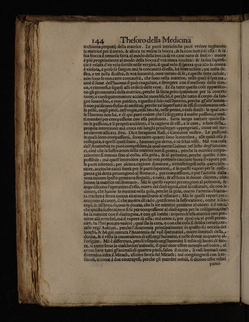 lechiama preputij della matrice. Le parti intrinfeche puoi vedere tagliando la matrice per ilmezo, &amp; allora tu vedraila bocca , &amp;claconcauitàdicfia: &amp;la fuaboccaè nernofafatta.almodo della boccadivn cane nato di frefco : cuero è più propriamente almodo della boccad’vnatenca vecchia: &amp;:.dafua fuperft- cie è velata d’vnvelo fottile nelle vergini, il qual velo: fi penna quatido la:-donna è violata; e però fà fangue; mala concauità dieffa, hà fetee cellule &gt; tre: nella de. ftra; etre nella finiftra,&amp; vnafummità, ouermezzo di fe ; e:quefte-fette cellule, è cioè il feme dell’huomo fi può coagulare, e ftringere conil meftruo della don- na; eritenerfi,e ligarfi alli orificiydelle vene... ‘Et da tutte quelte cofe apparifco- no gli giowamenti della matrice, perche fu fatta principalmente per la\ concet=, tione, e confeguentemente accioche mondifichi; è purghi tutto il corpo da fan-! gue fouerchio,;e non paidito; equefto è (olo nell'huomo, perche gl’altr'anima- li non patifcono siga mefttui; perche tal fuperfinità in effifi confumano nel: ? la pelle; negli piedi; nell'vngie,nelli. becchi; nelle penne, e cofe fimili : le.qual:co-5 fel'huomo non hà, e di quì puoi vedere chel’è foggetta à molte paflioni;e mol. ti membri percompaffione con efla patifcono . Saria lungo narrare qualefia-. no le paffioni; e li proprij accidenti; ela cagione di effi, e Îe cure; e fuor della, propria intentione; mà..cerca nei luoghi preallegati appropriati, come:nel iter=. zo canone.alla xx}. Fen.. Dice Serapione Rafi, e Giouanni noftro .. Le: paffioni:: le quali fono:compafioni, fono.tarite quantè fono lemembra , alle quali effa è: collegata; quelli qualifiano » hanemo già detto, e tà lihai vifti. Ma vna.cofa: dall’Anatomia tu puoi comprédere;la qual mette Galeno nel fefto degl'interio- ri, cioè che la fuffocation della matrice non fi genera, perche la matrice cotpo=- ralmente fi muona fino al collo, alla.gola; &amp;al polmone, perche quefto. è im» poffibile ; mà queft’interniene perche non potendo cacciare fuora ilvapore per le parti inferiori, per alcuna cagione fimuone.;: eiconftringefi nella parte infe-: riore, accioche cacci fuora per le parti fuperiori;,;é fequeftrvapori perla colli-- sanza già detta peruengono al ftomaco s percompafliorieeperl’arteria dalla. vena minore fpeffo generano.fingulti,, e rutti; 86 all’hora:le donne dicono; chè: hanno la matrice nelftomaco.. Mà fe quefti vapori peruengono al polmone; &amp;:: impedifcono l’operationd’effo, quero del diafragma,cioè lo rifiatare, dicono le. donne, che hanno la matricenella gola, perche la gola, ouero l'arteria chiama ta trachea è fenza mezzo alcunoordinato al rifiatare:; : Mà fe quelli vapori pers uengono alcuore, il che auuienidirado sipatifcono la fuffocatione, come li fines copi;&amp; all'horadiconole donne, che la lor mattice peruiene alcuore: è ilvero;5 che quelta fuftocatione fi fà per compaffione al diafragma perla colliganza;iche» ha la matrice conil diafragma,;e con.gli lombi;: imperoch’effa matrice non per= uiene alli membri,ma il vapore di effa; mà.come è; per .qualvia vi poffi perue- nire, tu l'hai potuto vedere , qual fia la cura,.c.con:che.cofa fi debba curare;cer=. calo negl'Auttori, perchel’Anatomia principalmente in queflto dà notitia dei luoghi, &amp; hò già narrata l’Anatomia.de’ vafi fpermatici , ouero feminali della, donna,&amp;è vifta la conuenienza di effinegl'huomini; e.nelle donrié. inquanto al-. l'origine. M è differenza, perch’effendo negl'huomini li tefticoli locati di fuo- comefono tutti gl’animali di quattro piedi;faluo ilriccio » livafifeminali non fitermina.infra il Mirach, efcono fora del Mirach ; mà congiongonfi con lite- fticoli, sì come è due contrapefi, perche gli membri nobili, fi dicono effer velati panni-