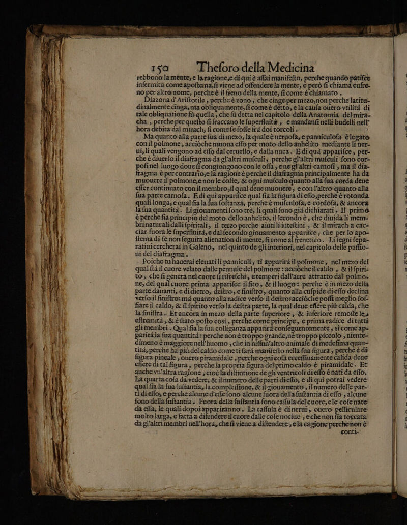 È PI aria TRI 150 Theforo della Medicina ‘rebbono lamente; e laragionese di qui è alai manifefto, perche quando patifce infermità come apoftema;fi viene ad offenderela mente, e però fi chiama eufre- no per altrenome, percheè il freno della mente, ficome è chiamato . Diazona d’Ariftotile perche è zono ; che cinge per mezo,non perche latitu- dinalmente cinga, nia obliquamente; fî come è detto, e la'caufa cuero vtilità di tale obliquatione fi quella, che fù detta nel capitolo della Anatomia del mira- cha , perche perquetto fi fraccano le fuperfluità , etmandanfi nelli budelli nell hora debita dal mirach; fi comefefoffe frà doi torcoli . J Ma quante alla parte fua dimezo, la quale è nernofa, e panniculofa è legato con.il polmone; acciòche muoua effo per moto dello anhelito mediante li ner- ui, li quali vengonoad effo dal ceruello, e dalla nuca. Edi qua apparifce, per- che è diuerfo il diaftagma da gl'altri mufculis perche gl’altri mufculi fono cor- pofinel luogo douefi congiongonocon le offa ene'gl'altri carnofi , ma il dia- fragma è percontrario;e la ragione è perche il diaftagma principalmente ha da muouere il polmone,enonle colte, &amp; ogni mufculo quanto alla (ua corda deue effer continuato conilmembro;il qual deue muouere:; econ l’altro quanto alla fua parte carnofa. Edi quì apparifce qual fiala figura di effo,perche è rotonda quafi longa, e qual fia la fua foltanza, perche. è mufculofa, e cordofa, &amp; ancora lafua quantità. Ligiouamenti fono trè, liquali fono già dichiarati . Il primo è perche fia principio del moto: dello‘anhelito, il fecondo è, che diuida li mem- brinaturalidalli fpiritali, il terzo perche aiutiliivteftini , &amp; ilmirach'a cac+ ciar fuora le fuperfluità, e dalfecondo gionamento apparifee, che per lo apo- ftema di fe nonfeguita alienation di mente, ficome al frenetico. Li fegni fepa- ratiuicercheraiin Galeno, nelquintode gli interiori, nel capitolo delle paflio- ni del diafragma. Poiche tuwhauerai eleuati li pauniculi, ti apparirà il polmone , nel mezo del qual {tà il cuore velato dalle pennule del polmone : acciòche il caldo ; &amp; ilfpiri- to, chefi genera nelcuore firifrefchi, etemperi dall’aere attratto dal polmo- ne, del qualcuore prima apparifce il fito ; &amp; illuogo: perche è inmezo della parte dauanti, e didietro, deltro, e finiftro, quanto alla cufpide dieffo declina verfo:il finiftro: mà quanto alla radice verfo il detro*acciòche poflîi meglio fof- fiare il caldo, &amp; ilfpirito verfola:deftra parte, la qual deue effere più calda, che la finiftra.. Er ancora in mezo della parte fuperiore , &amp; inferiore remoffe les eftremità , &amp;èftato: pofto così, perche come principe , e prima radice ditutti glimembri . Qualfia la fua colliganza apparirà confeguentemente ; sì come ap» pariràla fua quantità perche non'è troppo grande,né troppo'piccolo , niente- dimeno è maggiorenell’hromo ; che in niffan’altro animale di medefima quan- tità, perche hà più del'caldo come tifarà manifefto nella fa fisura ,, perche è di figura pineale , 0uero: piramidale , perche ogni cofa ecceflinamente calida dene effere di talfigura,, perche la propria fisura delprimo:caldo è piramidale. Et La quarta.cofa da. vedere; &amp; iluumero delle parti dieffo, e di quì potrai vedere qual fia la fua fuftantia, la compleflione; &amp; il sionamento , ilnumero delle par- ti di effos e perche:alcune d’effefono alcune fuora della fuftantia di effo: , alcune: fonodella fuftantia . Fuora della fuftantiafonocafula delcuore, ele cofe nate da effa, le quali dopot appariranno. La caffula è di nerui , oucro: pelliculare molto larga,e fatta a difendereilcuore dalle cofemociue ; eche non fia totcata da gl’altrimembri uell’hora, chefi viene a diftendere se la cagione perche:non è conti-' RETRO ll I OE