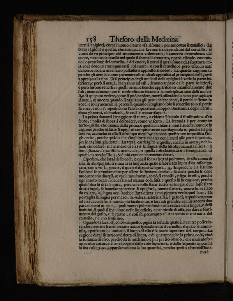were li epigloti, come lnomo d'arme vfa il freno ; permuonere itcandllo + La terza cagioneè quefta, che auénga, che la voce fia dependente dai ceruello, si come da vm-principio del mouimento volontario } ha ancora dependenza dal cuore; sicome da quello nel quale fi forma il.concerto; e però effendo commi ne l’operatione del ceruélio; e del'cuote, li nerui ti qualifono nella frettura del- la voce deuono communicarfi colcuore;'ecomilceruello,e petò effendo nati dalcervello;èra neceflario'paffaffeto appreffo abcuore . La quarta. cagione fiì perche gli nerni deuono peruenire alli mufculiapprefso al principio dileffi.;enò ‘apprefso alla fine. Etitpriacipio sn mufculi delli epiglotiè vetfo la parte. feriore,e però linerui, cheyanno ad effi ; denono andare dalle parti inferiori, € però furono renerfini quetti nerui, ebenche apparifcono manifeftamente due foli, nientedimeno poi fi moltiplicano fecondo la moltiplicatione delli mufco- li,e di quì puoi vedere,come fi può perdere,ouer6 offendere la‘voce:pertagliare linervi; &amp; ancora quando fitagliano gli nerui defcendenti fi perde infieme la voce, e lo hymencon,la percofla.quando fi tagliano fololi reuerfiui folo fi perde la voce, enon s’impedifcono Paltre operationi, doppo l’Anatomia degli inerui , elena glinerui, e li mufcoli , &amp; vedi le trecartilagini. Laprima dauanti èmaggiore di tutte , e.chiamafi fcutale è fimilitudine d’vn fcuto, e polta di fuora a defendere, come vinfcuto .. La feconda è per compire tutto quello, che manca dalla prima;e quefta fi chiama mom haventenome,e là cagione perche fù. fatto Pie compitamente cartilaginofa è, perche fia più fonora; accioche.in ella fi diroinpa meglio, che:con'quefto non impedifca l’in- ghiottire, perche quado che s’inghiatte s'inalza:conil meti alle parti fuperioti, mafi cimbalare; ma inmezo diefsa è lalingua della fiftola chiamata fiftola; 2 fomiglianza d’vnafiftola artificiale e quella cofichiamatàè è fomiglianza di quefta naturale fiftola, &amp; è più conuenientemente detto. Mi î Efpedito, che farai delle cofe, le quali fono circa'al polmone, gralla canna di eflo, &amp; alliepiglotitirimarrà Ja lingua,a quale è fabricatafopra d’vn offo figu» rato, coimevn L; greco; ilquale è.digu fia fioura » A+ Imperoche ha hauuto Foffonel {no fondamento per effere foftentara da efso ; &amp;anco perche fii deue muoucere con diuerfî,.&amp; vari} mouimenti; acciò fi accolti , e figa in effo, perche ognimotolocale fidene fare ad alcuna cofa.fiffa,e quefto fà la cagione, perche queft'ofso fù dital figura, perchefe foffe ftato tutto vnlungo, ouer foffeftato dritto ingiù, &amp; hauefse penetrato li.epigloti , quero»il meri: omero fofse ftato da vnlato, lalingua non farebbe {tata dritta 5 mà piegata verfo quel lato. Di poitaglia la lingua permezo , &amp; vederai arterie affai, e grandi, lequalî vengono ad efsa, accioche fîmuoua: più facilmente; e facciafi grande; vedrai ancora due para di netui motiui ; liquali vanno più profondi nella radice:della lingua,e delli fenfitini,li quali i {pandono nelte ftiperficie; e panniculo di effa,per dare il fenti+ mento del sufto,e del tatto » ecof fei peruenuto all'Anatomia d'vio nato: del ceruello; e d’vno fenfitiuo.. | 199 .. Quandoti faraiefpedito diquefto; piglia la refta;la quale è il ventre pofterio. re, checontiéne li membri animati; e fpecialmente ibceruello, ilquale è immo+ bile, eperòrnion hà mufculi; illuogo-dieffo èla parte fuperiore del corpo. La cagione dital fituationeè detta difopra, e di quà apparifcela prima cofa, cioè la foftanzadiefso, perche da femedefimo è più prefto ofsofe che mufculofo::: apparifce ancora il fito;e luogo;e dalle cofefupetiori, è dalle fesuenti apparirà la fua collisanza,apparifce ancorala fua quantità, perche quelto vétre nell'huo» moè
