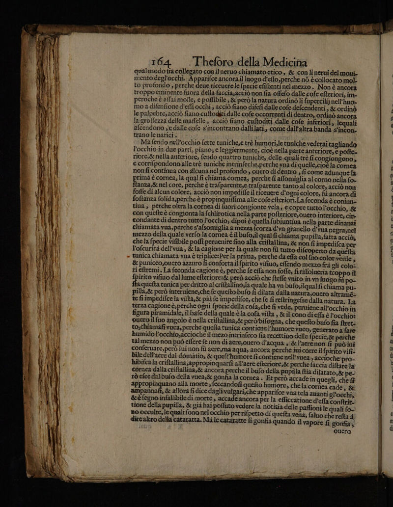 qualmodofta collegato con ilneruo chiamato etico , & con linerui delmoui mento degl'occhi.. Apparifce ancorail luogo d’eflo,perche nò è. collocato mol- to profondo ; perche deue.riceuerele fpecie efiltenti nelmezzo . Non è ancora troppo eminente fuora della facciasacciò non fia offefo dalle cofe efteriori, im- peroche è aflai molle, e poffibile , & però la natura ordinò li fupercilij nell’huo» mo 2 difenfione d’effi occhi , acciò fiano difefi dalle cofe defcendenti ; & ordinò le palpebre,acciò fiano cuftodizi dalle cofe occorrenti di dentro, ordinò ancora lagroflezza delle maftelle ; acciò fiano cultoditi dalle cole inferiori, lequali afcendono se dalle cofe s'incontrano dallilati, come dall’altra banda S'incon- tranole narici. Larita) ) i Ma fendo nell'occhio fette tuniche,e trè humori.le tuniche vederai tagliando l'occhio in due parti, piano; e leggiermente, cioè nella parte anteriore, e pofte- riore,&nella anteriore, fendo quattro tuniche; delle.qualitrè fi. congiongono» e corri{pondono alle trè tuniche intrinfeche,perche.yna diquelle,cioè la cornea nonfi continua con alcuna nel profondo , ouero di dentro , fi come adunque la rima è cornea, la qual fi chiama.cornea; perche fi afomiglia al corno nella fo- anza,& nel core, perche è trafparente,e.trafparente:tanto al colore, acciò non foffe di alcun colore, acciò non impedifle il riceuere d’ogni colore, fù ancora di foftanza folida,perche è propinquiffima alle cofe efteriori.La feconda è coniun= tina , perche oltra la cornea di fuori congionte vela; e copre tutto l’occhio, & con quefte è congionta la fchlirotica nella parte pofteriore,cuero interiore; cir» condante di dentro tutto l'occhio; dipoi è quella fubiuntiua nella parte dinanzi chiamata vua, perche s'afsomiglia a 666 nta d'vn granello d’vua negra,nel mezzo della quale verfo:la cornea è il bufo;il qual fi chiama pupilla,fatta acciò; chela fpecie vifibile poffî peruenire fino alla criftallina; & non fî impedifca per Pofcurità dell’vua, &la cagione per la quale non fù tutto difeoperto da quelta tunica chiamata vua è triplice:Perla prima, perche da'effa col fio. colorverde è & puniceo,ouero azzuro fi conforta il fpirito vifiuo, efendo mezzo frà gli colo: ri eftremi. La feconda cagione è, perche fe eila nonfofle, fi tiffolueria troppo il fpirito vifiuo dal lumeefteriore:& però.acciò che fteffe vniro in.vn Inogo fit po- ftaquefta tunica per dritto alcriftallinosla quale ha vn bufosilqualfi chiama pu- pilla,& però interniene,che fe quefta bufo fi dilata dalla natura;cuero altramés te fiimpedifce la vilta,& più fe impedifce, che fe fi reftringefse dalla natura. La terza cagioneè,perche ogni fpecie della. cofa,che fi vede; perniene all'occhio in figura piramidale, il bafe della quale.èla cofa vifta , & il conodieffa è l'occhio? euero il fuo angolo è nella criftallina,& peròbifogna, che quefto bufo fia ftret: to,chiamafivuea, perche quelta tunica contienel’humote vueo, Senerato a fare humidol’acchio;accioche il mezointrinfeco fia recettino delle fi pecie,& perche talmezzo non può effere fe non di acrejonero d’acqua ,'& l’aerenon fî può iui conferuare,però iui non fi aere,ma aqua; ancora perche imi corre il fpirito vifi- bile dell’aere dal dominio, & quelPhumore fî contiene nell'vnea., accioche: pro-. hibifca.ta criftallina appropinquarfî all’aere efteriore,& perche faccia diftare ta cornea dalia criftallina;& ancora perche il bufo della. pupilla ftia dilatato, & pe- rò efcedalbufo della vuea,è gonfia la cornea | Etperò accadein questi, che {? mi Se prin alla morte ; feccandofî quefto humore, chela cornea cade, 8 ampannefi, & allora fi dice daglivulsari,che apparifce vnatela anantia l'occhi; &cè fegno infallibiledi morte, accade ancora per la efficcatione d’elfa conftrit. tione della pupilla, & già hai poffuto vedere la notitia delle paffioni le quali fo- mo occulte, le quali fona nel occhio perrifpetto di queta vena, faluo:che refta 4 dircaltro della cataratta. Mà le cataratte fî gonfia quanda il vapore fi sonfia; Quero E° > re Coca A_ 9a