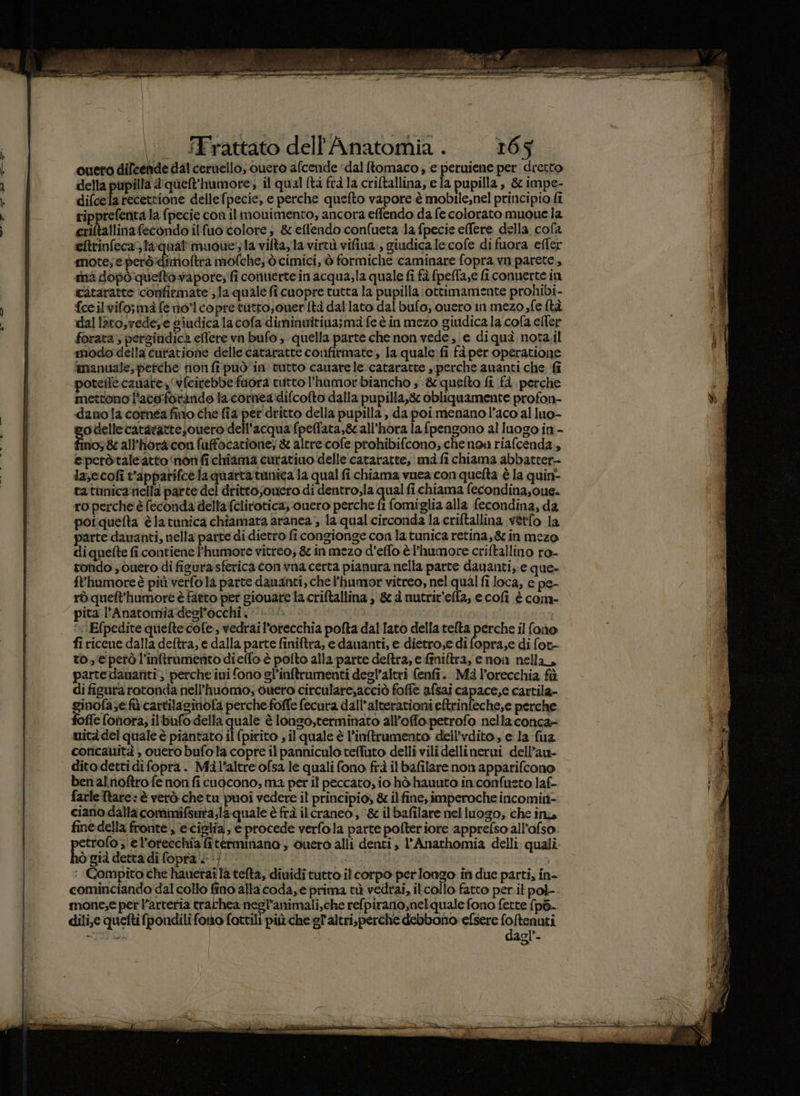 bs A: dle ch -Zu—@—e——_—_———TRI’ LIA \\ 5Frattato dell’Anatomia . 165 cuero dileende dal ceruello, cuero afcende ‘dal ftomaco, e peruiene per dretto della pupilla &amp;'quelt'humore, il qual (ta fra la criftallina, e la pupilla, &amp; impe- difcela recettione dellefpecie, e perche quefto vapore è mobile,nel principio fi ripprefenta la {pecie con il monimento, ancora effendo da fe colorato muoue la eriftallina fecondo ilfuo colore; &amp; eflendo confueta la fpecie effere della cola eftrinfecadlaqual'muoe'; 1a vifta,la virtù vifina:, giudica le cofe di fuora efler mote; eperòiditoftra mofche; ò cimici, è formiche caminare fopra vn parete, rnd dopò queto vapore; fi contierte in acqua;la quale fi fà fpella,e fi conuerte in citaratte confirmate la quale fi cuopre tutta la pupilla: ottimamente prohibi- fceilvifo;mi feno”lcopre tatto; cuer (tà dal lato dal bufo, ouero in mezo fe ftà dal lato; vedeze giudica la cofa diminuitinasma fe è in mezo giudica la cofa eller forata, persiudica effere vn bufo , quella parte che non vede, e diquà nota.il modo della cutatione delle cataratte confirmate, la quale:fi fà per operatione ananuale, pefche tion fi può'in tutto cauarele.cataratte , perche ananti che {î potefle canate wicirebbe fuora tutto l'humorbiancho ; &amp; quefto fi fà perche mettono l'aco-fotindo la cornea:difcofto dalla pupilla,&amp; obliquamente profon- danola cornea fino che fia per dritto della pupilla , da poi menanol’aco al luo- otellecatarattejouero dell'acqua fpelfara,gc all'hora la fpengono al luogo in - tini &amp;all'hor&amp;con fuffocatione) &amp; altre cofe prohibifcono;, che nou riafcenda , e peròtaleatto ‘non fichîama curatiuo delle cararatte, ma fi chiama abbatter- la;ecofi t'apparifcela quarta:tunica la qual fi chiama vuea con quefta è la quin- tatunica nella parte del dritto;ouero di dentro,la qua fichiama fecondina,oue. ro perche è feconda della‘fclirotica; ouero perche fi fomiglia alla fecondina, da poi quefta è latunica chiamata aranea , la qual circonda la criftallina vèrfo la parte davanti, nella parte di dietro fi congionge con la tunica retina,&amp; in mezo diquette fi contiene l'humore vitreo; &amp; in mezo d’effo è l’humotre criftallino ro- tondo s ouero di figura sferica con vna certa pianura nella parte dauanti,. e que- f'humore è più verfo la parte dauanti, chel’humor vitreo, nel qual fi loca, e pe- rò quelt'humore è fatto per giouare ta criftallina , &amp; è nutrir'efla, ecofi è com- pita Anatomia desl’occhi 0.‘ :Efpedite quiefte cole, vedrai l’orecchia pofta dal lato della telta perche il foio fi riceue dalla deftra, e dalla parte finiftra, edauanti, e dietro,e di fopra;e di fot- to, € però l’inftramertto dieffo è polto alla parte deltra, e finiftra, e non nella, parte dauaniti; perche iui fono sl’inftrumenti degl’altri fenfi. Mà l’orecchia fù di figura totonda nell’huomo, cuero circulare,acciò foffe afsai capace,e cartila- ginofa;e fà: cartilaginofa perche foffe fecura dall’alterationi eftrinfeche,e perche, foffe onora; il bixfo della quale è longo,terminato all’offo:petrofo nella conca= uità del quale è piantato il (pirito il quale è l’inftrumento dell’vdito, e la fua coricauità , ouero bufo la copre ilpanniculo teffuto delli vili dellinerui dell’au- dito dettidifopra. Mil’altre ofsa le quali fono frà il bafilare non apparifcono benalnoftro fe non fi cudgcono, ma per il peccato, io hò hauuta in confusto laf- farle Ttare: è verò chetu puoi vedere il principio, &amp; il fine, imperoche incomiti- ciano dalla commifsura;la quale è frà itcraneo , ‘&amp; il bafilare nel luogo; che ina fine della fronte , e:cistia, e procede verfola patte pofteriore apprefso all’ofso. petrofo ,'el’orfeechia fitetrminano ; Quero alli denti , l’Anathomia delli quali. hò già dettadi fopra è 1)‘ guaie | : Compito che hauetai la tefta, diuidi tutto il corpo perlongo in due parti, in- cominciando dal collo fino alla coda, e prima tà vedrai, il collo fatto per it pol mone;e per l’artetia trachea negl’animali,che refpirano,nel quale fono fette fp6. dilie queftifpondili faro fottili più che gl'altri.perche debbono efsere foftenuti dagl’-