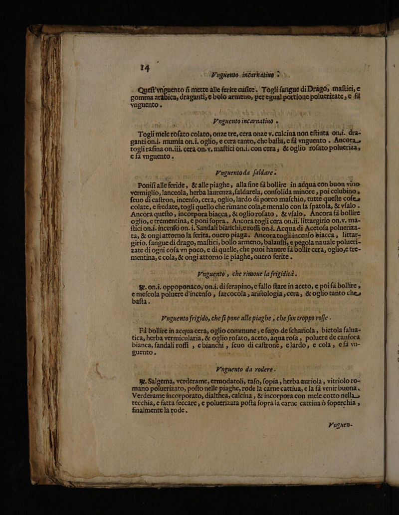 i rina SME 14 Vuguento intarbatino' è Quelt'unguento fi mette alle ferite cufite.' Togli fangue di Drago, maftici, e gomma arabica, draganti;e bolo armeno, per egual portione poluerizate , € fà pa | Toglimelerofato colato, onze tre, cera onze vi calcina non eftinta omni. dra- gantion.i. mumia on.i. oglio, e cera tanto, che bafta, e fà vnguento . Ancora, toglirafina on.iii, cera on.v. maftici on.i. con cera s &amp;oglio rofato polueriza» e fà vnguento è WVnguento da faldare è | Ponifialle feride, &amp;allepiaghe, alla fine fà bollire in aéqua conbuon vino vermielio, laniceola, herba laurenza faldarela, confolida minore , poi celubino a feuo di caftron, incenfo, cera, oglio, lardo di porco mafchio, tutte quefte cofea colate, e fredate, togli quello che rimane cola,emenalo con la fpatola, &amp; vfalo . Ancora quefto , incorpora biacca, &amp;ogliorofato , &amp;vfalo, Ancora fà bollire oglio,e trementina, € poni fopra. Ancora togli cera on.ii. littargirio on.v. ma- ftici on.i«incenfo on. i. Sandali biarichi,eroffi on.i. Acquadi Acetofa polueriza- ta, &amp; ongiattorno la ferita, cuero piaga. Ancora togli incenfo biacca , littar- girio. fangue di drago, maftici, bollo armeno, balaufti, e pegola nauale polueri- zate di ogni cofa vn poco, e di quelle, che puoi hauere fà bollit cera, oglio,e tre- mentina, e cola, &amp; ongi attorno le piaghe, cuero ferite . WYnouentò s che rimoue la frigidità . p. on.i. oppoponaco;'on.i. diferapino; e fallo ftare in aceto, c poifà bollire » e mefcola poluere d’incenfo , farcocola ; ariftologia , cera, &amp; oglio tanto ches bafta . Vnzuento frigido, che fe pone alle piaghe ; che fon troppo roffe - | Fà bollire in acquacera, oglio commune efugo de fchariola, bietola falua- tica, herba vermicularia, &amp; oglio rofato, aceto, aqua rofa , poluere de canfora bianca, fandali roffi , ebianchi ; fcuo di caftrone, elardo; e cola; e fà vn- guento . i Vnguento da rodere . Re. Salsenna; verderame, ermodatoli; tafo, fopia, herba.auriola ; vitriolo ro- mano poluerizato, pofto nelle piaghe, rode la carne cattiua, e la fà venir buona « Verderame incorporato, dialthea, calcina , &amp; incorporacon mele cotto nella tecchia, e fatta feccare , e poluerizata pofta fopra la carne cattina ò foperchia » finalmente la rode.
