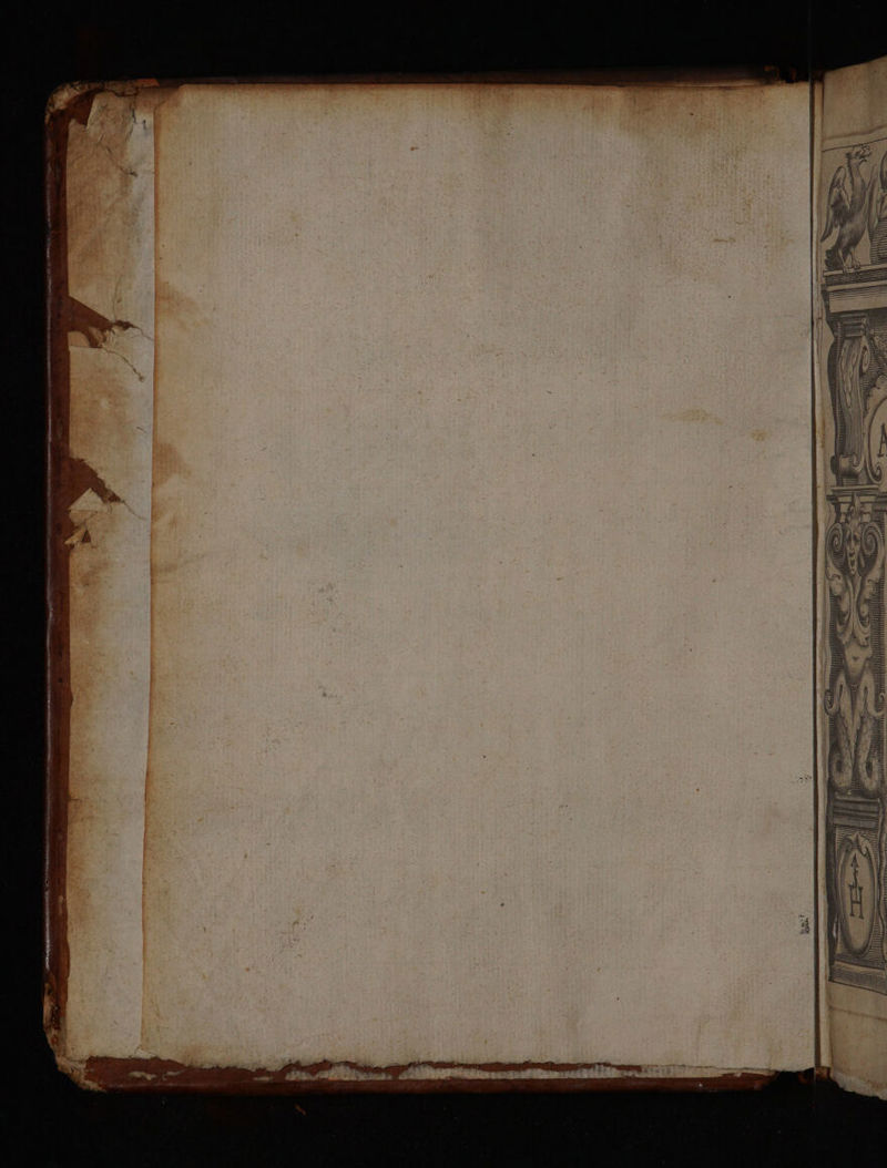 W —— esr nete rta ois a SUE Re SER