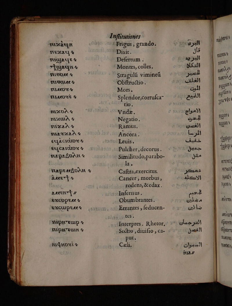 (GAXYOUOULEE X SVLECU^S Y fAADA X UVAUXA t YuxXRA Y iex Y s Straguláü viminett Mors. Splendor,corruíca to. Vnde. Negatio. Ramus. Ancora . Leuis. Pulcher, decorus. Similitudo;parabo- la. Caíflra,exercitus. Cancer , morbus, rodens, &amp;edax. Infernus. — Obumbrantes. Exrantes , leducen- tes. Sectio , diuifio , ca- put. Cali. NY guod qup quot^À Ng fimt qued i mun t EN fuenp Tuis wed CONS Wd OT IRAN utt fttv fout Ug DELI