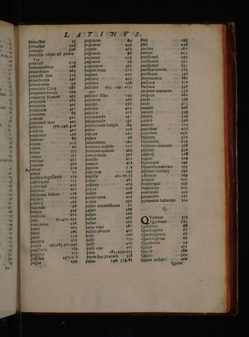 1) 4 1dj6. jl» 1t qu Wn T 41 T 40 jp 4n (of 1X6 Wt iio 49 y Hi Protector 43 protedtor 416 protegit 396 protenfa vfque ad pedes 144 protexit 414 Protomedicus 108 prouerbium 383 proue&amp;ti funt 315 prouidentia 290 prouidentia 99 prouincia Cane 2186 progincia eorum 286 prouincia Nume |. 387 prouincia 281 prouincia 415. prouinciz 411 proximus 85 roximi , 422 proximus tuus 404 proximi 371«246. 370 rudens 425 prudentes 296 prudens $4 pruina 293 pruina 6o pruna 177 prunus : 177 pruritus 41I pruritus 3$0 pubertas 102 pubes à 71 publica flagellatio ^ 162 ublicanus Ili publicani |^ 416 publicet 481 püblicum feftum * — 220 publicé 289 publicé : 267 pudenda * 48 pudica - 349 pudicitia | 26i puer 71:457: 447 puer meus 456 pueri 264. pueri 265 pueri 3» pueritia 458 puella — 27 1.263.461:346 pugil!aris | 05389 pugillus 2312 pugillus 2373 0 pugna | 293 pugnator $4 pugnator 4319 pugnat 460 pugaator 86 pugnauit 409 pugnatio 99 pugnantes 374 pugna locus 107 pugnus 260 pulcher 423 pulcher 450 pulcher — 4$3. 247. 413* 430 pulcher filius E pulchrior 467 pulchri 367 pulclira 454. pulchra 451 pulchritudo 451 pulchritudo ^ .296 pulchritudo Iofeph — 189 pulex 172 pulices 260 pulmo 78 pulnientum 200 punicum malum 177 punicum malum. 269 punica mala 371 punctis 255 puniuit 471 punitio 12 pulpitum 1593 pupilla 461. 77.75 pulfat 481 pulfauit 461 puluis 226 puluis 466 puluis terre 25$ puluis 333 puluis minutiffimus . 6o puluis 286 pullus 168 pullus 486 pullus 165 pulus equi 165 pullos ponere 410 pulli 200 pulli 199 pulli 419 pulli eius 415 pura 287.449.295 purusfine peccato 348 purus 249. 359.95 Puri -./393 pun !^ 246 puritas 287 puritas 224 purificauit 431 purificauit 392 purificauit 392 purificationem | 7363 purificata 346 purgamenta 285 purpura 112 Purpura 337 purpure mercator 337 purpura 28z putas 393 putat 373 putauit 408 putatis 323 putatis 341 putatis 342 putator : 114 putridum : 2I putridum 232 Pfalmus 371 Pfalmodia 219 Píalmum dixerunt: 368 pífallere 322 pfaltes] 218 píaltes 419 Pfíalteríum 24I Pfeudofycomorus 175 pfylium Gofsipij í9o pfittacus 169 ptifana 200 Ptolomeus 227 Ptolemais 212 ptolemais 430 yramides 24$ pythonem habentes — 114 Q. Vadrans 373 Quadrans 34z Quadraus 68 Quadraginta 67 Quadringenta 68 Quadiipgenta 66 Quadratus $4 Qualis 455 Qualis 39o Qualis : 389 Quam ardor 466 Quame M Rh iiri a I t T 575 pii T rtt ns — —— e Suc JA. NOR A m rat iip dispuso t NI Si | LAN o SQ Mea
