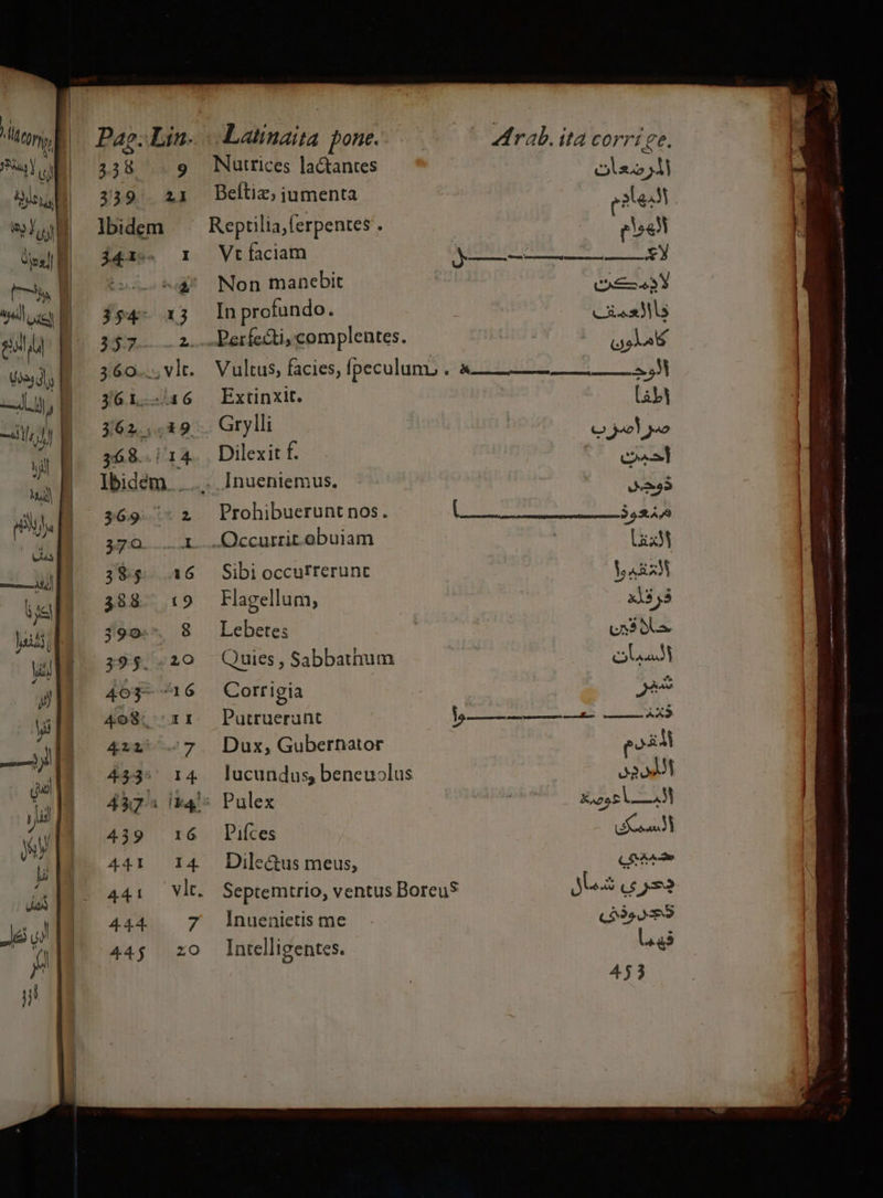 hi] Vu Pag. Lin. $539 «9 339 21 Ibidem App I 354^ 13 357 2. 360... vlt. 36L.- 46 362. ,.49 368../ 14 Ibidem... 369 2 370 A. 3$ $5. a6 388. t9 3935»*. 8 39$. 20 403-16 4o8, 'TI 412 7 qs 14 437 fi: 439 16 441. 14 A41. vlt. 444. 7 445; zO Latinaita pone. rab. ita corri ge. Nutrices lactantes eso A Beftiz; iumenta poe Reptilia,ferpentes ; else Vt faciam arista tac Mia E Ek 3 Non manebit CAE In profundo. C X44Ml5 Períc&amp;ti, complentes. olt Vultus, facies, fpeculunn . &amp; HE NUES. Extinxit. [sy] Grylli cQ. juol yo Dilexit f. C . ]nueniemus. o Prohibuerunt nos. ( 3524s .Occurrit.obuiam | LM Sibi occurrerunc TEES Flagellum; x1 ,3 Lebetes Usos Quies , Sabbainum TUER) Corrigia pros Putruerunt ja LnS——————— 4X3 Dux, Gubernator pot lucundus, beneuolus 22941 Pulex X css AM Pifces COP Dile&amp;us meus, Cien Septemtrio, ventus Boreu* JU cose Inuenietis me (o3 oS Intelli gentes. -—