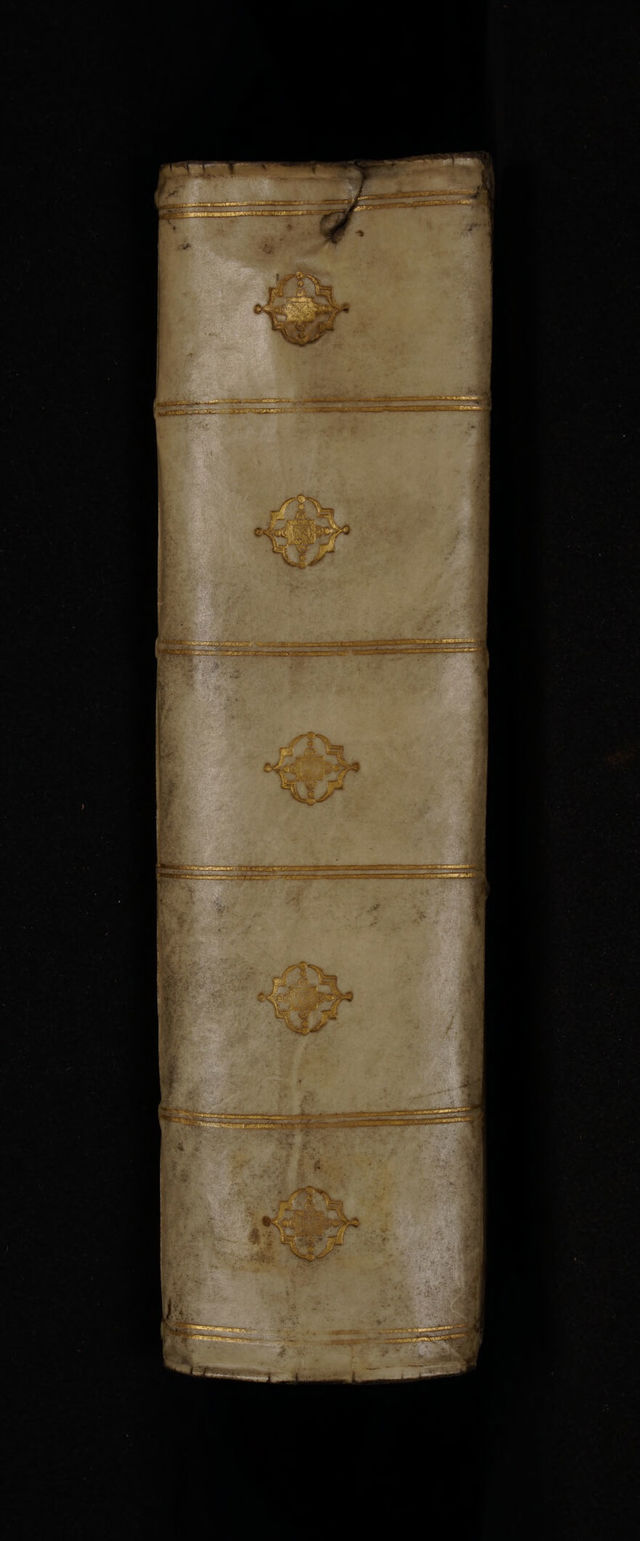 digitised image 2