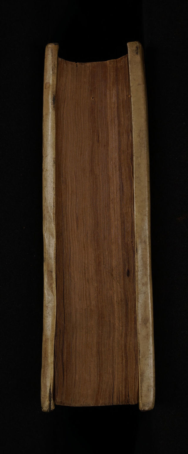 digitised image 3