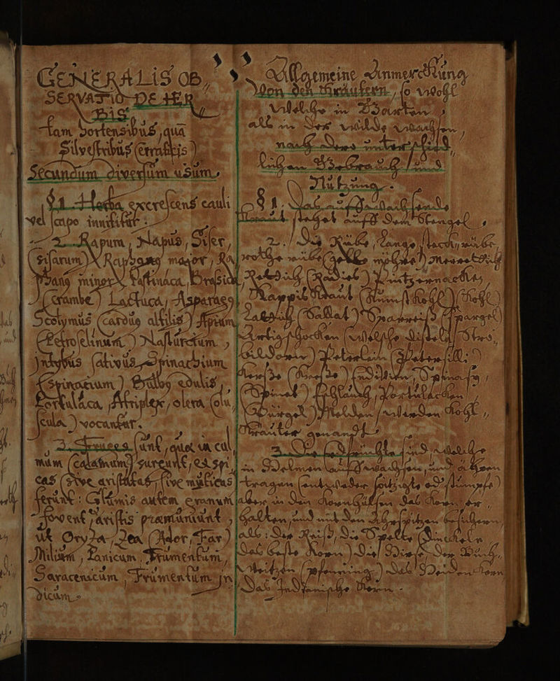 | E GENE r A 14 ce BD, ) yel : if e$ Ä nmereNtuun?y | SE ee 3 | he” am be wer A pi ir (erakkis > i | . E Ze Ark / | Igel Iatpo in won 1er L 3 u { Ei FE ’ N y S, ER BL afr 7 MIST 5 10 i fan 1a 2 «€ \ R be) TE ? gr a PD of ß si MA v f 1£ 2 fö A \ 2% 4 1 ‚am j; en u“ ca ) Ber En er \ Nas u Tr NUT N . J = > as! en Ä RB, co\ mus (< alkilis Yun Tal W5 (> NZ y Tp j\ pe Sir A Ar y Ey % j N 4 N { ut EL ’ I. (ds G Ken | | IM NL ba 1 (e Su @% cr el ana.) Nfler isn y IYIR RE: | “ | r f a 0 - } PR 5 I) WWF 3 ur / f « “ 4 Fefile Ss (akı wude op inachium. | er) Krane (or ll { af V j en 102 TON » N‘ ä ag } f ai, 2 da | \ f RQ u: D) \ 4 fr # v.y.. sr | rei it An, RAM UM LS ER ) Koss 0 A I AE Bere Ar ae FR WERD Ne Re & N tripler, SRrd | (N | NN RG) DH wat 0% Ft Mm er Sun geas a Doc aifälet | [iyE Kae i ra 5 Ar an EROR N Äl 2% 2 N 4 (\ N Ü jr = 5 ye ÖO 2 2 Kar Sage Lam 8 AUTEN ı Ar enl 2 na Dan Auen tfukis DE REN IT Ma: NN ans Ri re! 9 Sax ek nut Ian Ss Re ER) u 9 W rar \ ER N A WERT } 2 DEOAL * re * (RP : nA. , i e at Ö E . Fe \ Pi N, rl } NN, er 1 0 & a oh I A I % 1% . m e) are Y N NH a8 ER 1 Wr 1a ER Air u % N % Oryaa- Jen (Mer har.) [al : Sie Auf, 8.D & . 2 helm - \0O- Milik UM, ‚Parican Frümenbim, | Se St . oe ) Jin, Erz BL & | ag ei Ko 3 R un a vi | Orasenicum Frum entumyjn N &> Ben SER ek SAR rn tionn! Il a — u A NL; Nas Any Yeninhe Der |
