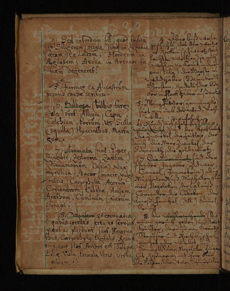 S: a ! j AERO SEES RB ERAL EEREEN A RA > be ; [3 Po 2) “sa Die‘ q - BR ur? 2 u u > ee j h 2 | E ” ar 1 ae } eE ar xo ZA Al icafl Um | 3 Cause < se ku hyz og (hlbis IR \ i de | um N rer N Pe ‚us Shla (Ga: ii % ac rlse ıd, Marta Ne rnnan ae Imyrk Nase -macir, BAR B ME Maris ae AL Meet N. | AI en Abba | Anilı um Anst um, 6% un a m (La a £- Br In am . 25 ferka 4 Re: % oe Sient AT pllurt, (une: Amarı Ä $ | = uß, @% yor y U n2/ isfal 13 , Rosn LE a u ni ) (7 Ei A et Re wa 2A ia N Loy Erimula Vens( Veh et um. y\ f