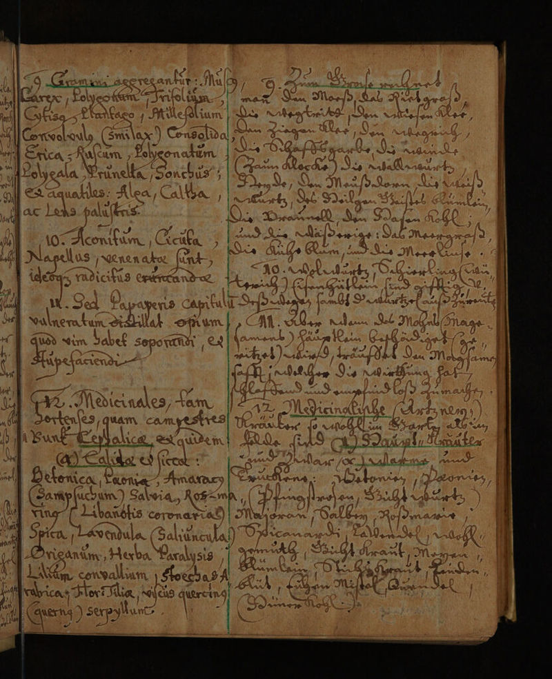 4 dr N - ae mL f « | PY 7 La 22 N Pi Br Er a5 K a Pl 1 ’ N | , 1 ar uch n E | aolye AA ‚Er Are JOntyu2 ; rt m re BERN IRG x na ER Aaauarl5: iea,\ hr A \ N wi Bere. iR ‚a 3.4 AlulirıS- Vi + EA Ar \ l ß n _ ge fügen) agent ar nn en er nn nd 2 DET 2 5 4 EEE > _ 2 N | Vulneraku J Jabef Ssepo! f) \ -amyestres oc, eo TTS pe = Kg Aivg KALON Le do m BG! su % AN art 7 Isar, Weir { e Fr I Mile Pf} { EIN sl j v > ah 2° nr ° ANER 1) KLAR, IL MRTee“ LEO EI Als s EN , RR) > 128 been 1 Ortenica, Ders A narary 3 eo 1 , ur um) Er 4 4 [5 TE A N Zn Wan 4 UML nnd i RAN Do a ken conyalum ı W H Aricas Fortis i Mi a Se) ’ R) “. Auerc And Ä N \ ” 13 XP PY N g He ni nn men m