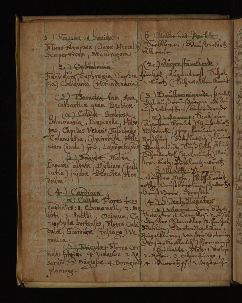 EEE TI TEE TERN EIER De % 2 er... “u f- AR. (v 9 a“ “ou na Aue) 4% u ine BrN Au RR pe N