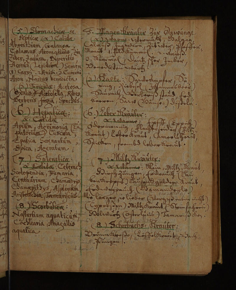 pl 4 Arsıntorum Tal au us. ale u A ne ” N “ Fe > a BET Hl { w. P> ; y mn 262 20 Ä y + x a u 6° pP} * | & 3° a3 E x üg | } ı BR P\ }ARDIR AR neih 4 KH vn ah au use: wu. er >68 fan gr Br 2% ' n. 1 < * N f % 4 4 ISpemeunie DUNST Fe I .-f} (mt | x \ I i ı) | Bor R 22 j n“ 3 a \ f j . EL 75 A A F a \ | > Fr u „420 5 77 } f j 4 & Br | | ara ni A son ur K.. ? Y & > D
