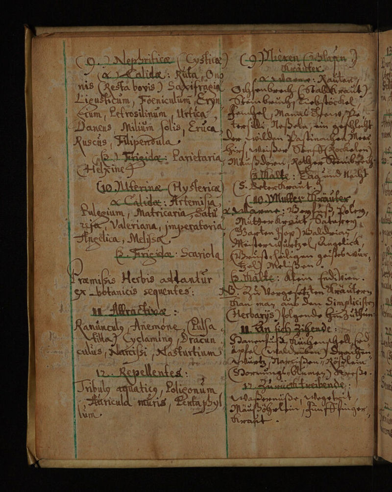 } I i gt. r 7 ar & ? \ « f N ee: r y var g Yı Q r & aaa a ai Ka : » y (NT eNr rt 14 ln .yamulıs 3 AArAanRU \ AR de aa wa > Kr PR, Hu ct F 1. 'a A, arN an 2 BL} e he 5 lan ® Li >cL AS U > R wa WM iR 7 (it; pn AnAav ac y 1 en NY on « H % a6 v KR.