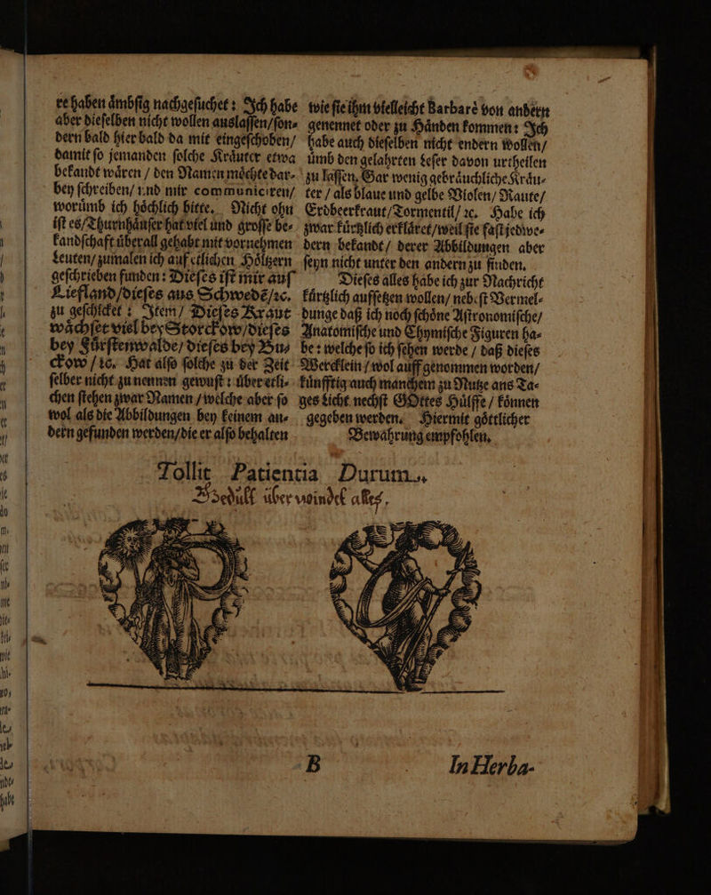 u or ua Soc Zi u — - > za == a s ee haben ämbfig nachgefucher s ch habe bern bald hier bald da mie eingefchoben/ damit fo jemanden folche Siräurer etwa befande wären / den Namen möchtedar- bey fchreiben/ ı.nd mir communicıren/ worumb ich höchlich Biere, Miche ohn üft es/Thurnhänferhafviel und groffe be- Fandfchafe überall gehabe.mit vornehmen Seuten/ zumalen ich auf etlichen Hölgern gefchrieben finden: Diefes ift mir auf” Hiefland/diefes aus Schwedz/zc, zu gefähiefee :_ tem) Diefes Arauıe wächfee viel beyStorcdhow/diefes bey Sürftenwalde, diefes bey Bin cow /ic. Hat alfo folche zu der Zeie felber nicht. zunennen gewußt übeeerli- chen ftehen war Namen /ioelche aber fo wol als die Abbildungen bey Eeinem au- bern gefunden merden/die er alfo behalten toie fieihn vielleicht Barbare Yon andern genenner oder zu Händen fommen: Sch habe auch öfefelben niche endern Wollen/ Umb den gelahrten $efer davon urcheilen ‚zu laffen. Gar weniggebräuchliche Xräu- £er / als blaue und gelbe Wiolen, Draute/ Eröbeerfraue/Zormentil/2c. Habe ich jivar Fücklich erfläret/voeilfie faftjedive- bern ‚befande/ derer Abbildungen aber feyn nicht unter den andern zu finden, Diefes alles habe ich zur Nachricht Färglich auffegen wwollen/ nebift Berinel- dunge daß ich noch fehöne Aftronomifche/ Anatomifche und Ehymifche Figucen ha- be : welche fo ich fehen werde / daß diefes Wereflein /wolauffgenommen worden/ Fünffrig auch mankhern zu Muse ans Ta- gestiche.nechft GDktes Hülffe / Fönnen ‚gegeben werden. Siermie göftlicher Bewährung empfohlen, voindek ae,