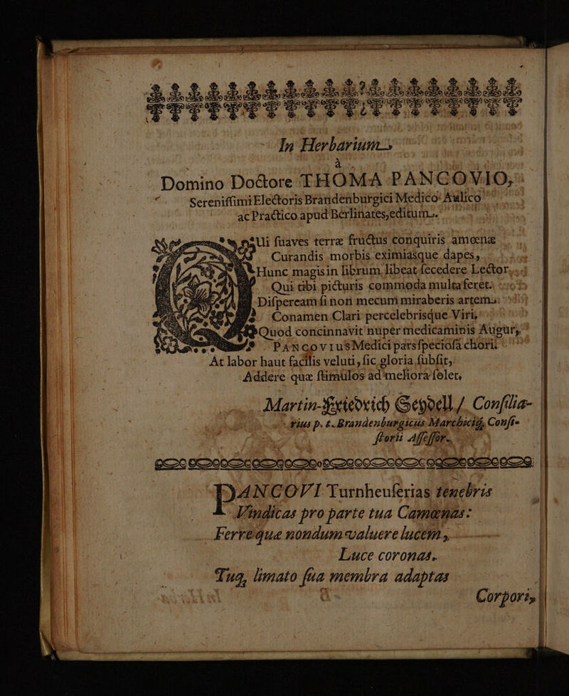 amin PRRER Brit 2227 ”* Seen > FRTTIFTTTTTETTT In a A Domino Dodtore THOMA PANCOVIO, SereniffimiEledtoris Brandenburgici Medico‘ Anlico ac Pradtico apud Berlinategeditum.. ep ®% mallı [naves terr& fructus conquiris amen& Curandis -morbis eximiasque. dapes, Al Hunc magisin librum, libeat fecedere Lettor,,. Ar Qui tibi pidturis commoda mulktaferet. An Difpereamfinon mecummiraberis artem.: Conamen Clari percelebrisque Viri, i ‚ig: coneinnavit'nüper medicaminis ÄAugur, ee PancovıusMedici parsfpeciofä chori. a Ban facilis veluti, fic_gloria fubfit,. Addere que ftimulos ad'meliora folet, Martin-Soiedxich Seyaell,/_Conflia- | yius p. 4. Brandenburgicus Marthicid, Conf- ‚forii Affe efor-, % Dr BOonr SI > Id ANCOVI Turnheuferias Fewebris Vindicas pro parte tua Camenas: Ferregue nondum valuere lucem, ä Luce coronas. | “ Tug, imato ua membra adaptas Corporiz |