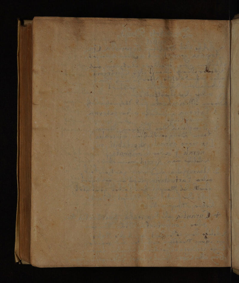 No text description is available for this image