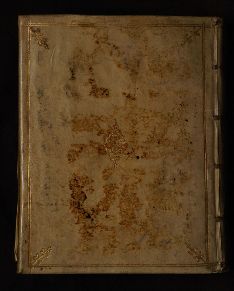 N Fe ger Dar dar ER LTE rer