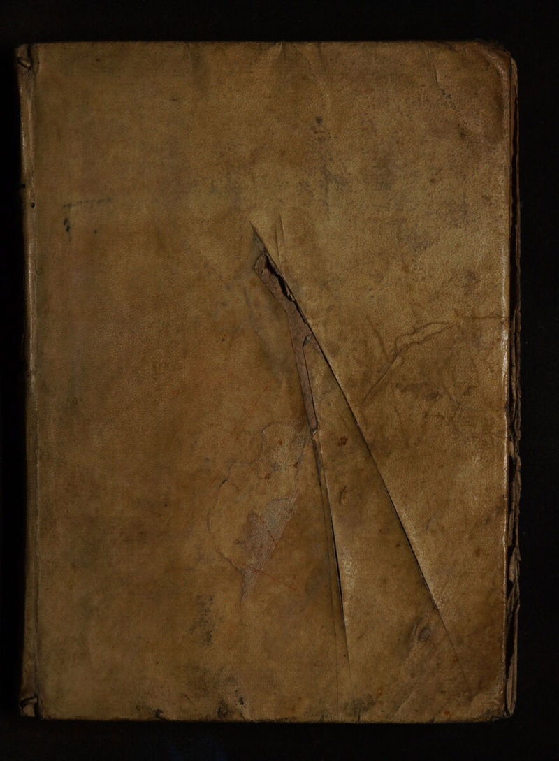 No text description is available for this image