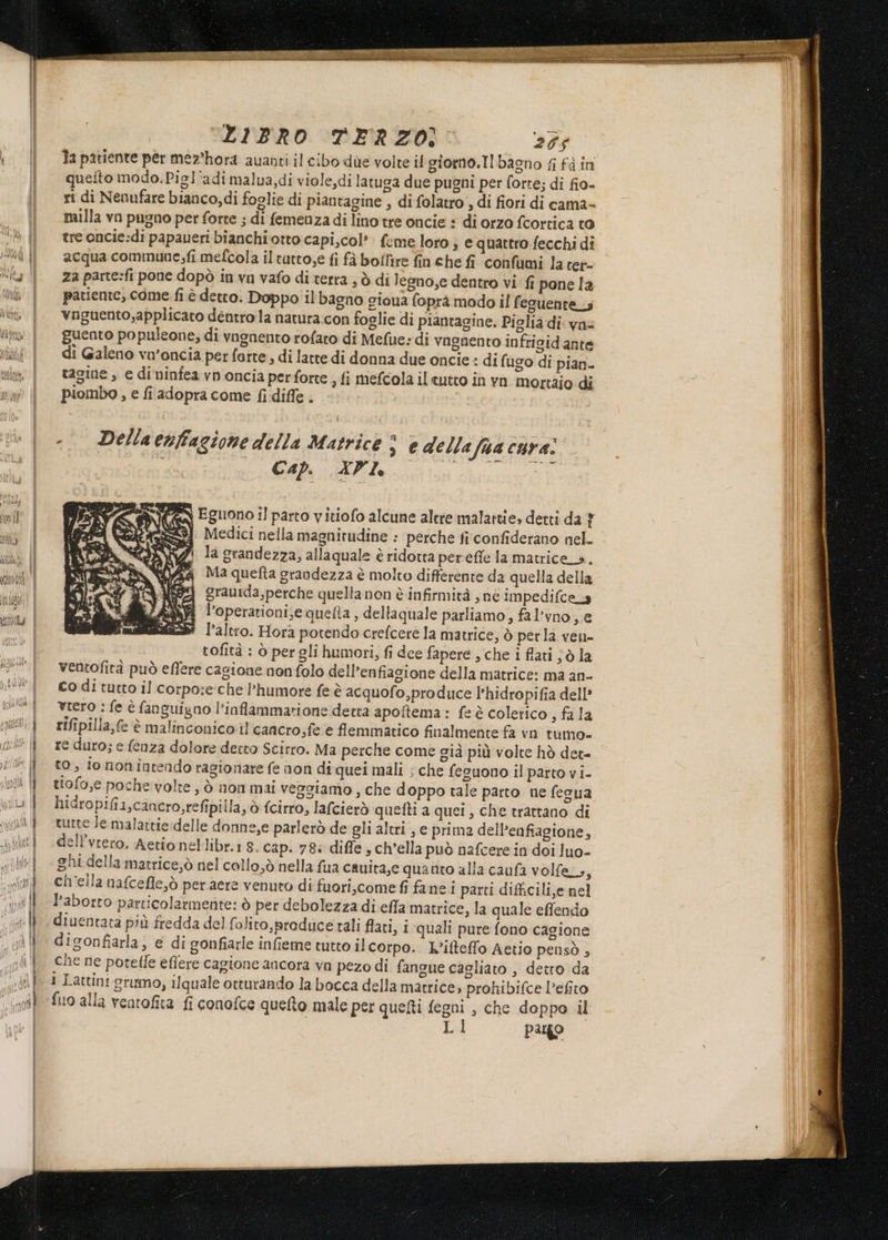 Essza I SIATE resto Ta Litri cedri ge 7 ZIiBRO TERZO). 205 \ || Tapatiente per mer'hora auanti il cibo due volte il giorno.Ilbasno fi fà in | queftomodo.Pigl'adimalua,di viole,di latuga due pugni per forte; di fio- ri di Nenufare bianco,di foglie di piantagine , di folatro , di fiori di cama- milla vo pugno per forte ; di femenza di linotre oncie + di orzo fcortica to La tre oncie:di papaueri bianchi otto capi,col’. feme loro; e quattro .fecchi dî Ma il acqua commune;fi mefcola iltutto,e fi fà bollire fin che fi confami la ter- “iu || za parte:fi pone dopò in vn vafo di terra ; ò di legno,e dentro vi fi pone la ‘ili | patiente, come fi è detto. Doppo il bagno gioua foprà modo il f eguentes vi | vnguento,applicato dentro la natura:con foglie di piantagine. Piglia di. vas fmi | guento populeone, di vnenento rofaro di Mefue:di vagnento infricid ante ri di Galeno vo’oncia per forte, di latte di donna due oncie : di fugo di pian- sika, tagine , e dininfea vn oncia perforte , fi mefcola iltutto in vn mortaio di DX piombo , e fiadopra come fi diffe . -. Dellaenfiagione della Matrice ® è della faa cura: | _ Cap. 2 1, SR E \ Eguono il parto vitiofo alcune alere malattie, detti da } Medici nella magnitudine : perche fi confiderano nel. la grandezza, allaquale è ridotta pereffe la matrice_s.. Ma quefta grandezza è molto differente da quella della 89 grauida,perche quella non è infirmità , nè impedifceLs i l’operationi;e quefta, dellaquale parliamo, fal'vno, e l’altro. Hora potendo crefcere la matrice; ò per la ven tofità : ò per gli humori, fi dee fapere , che i flati jò la ventofità può effere cagione non folo dell’enfiagione della matrice: ma an- co di tutto il corpo:e-che l’humore fe è acquofo,produce l’hidropifia dell’ vrero : fe è fanguigno l'inflammarione detta apoftema: fe è colerico , fa la rifipilla,fe ‘è malinconico il cancro,fe e flemmatico finalmente fa vn tumo- re duro; e fenza dolore detto Scitro. Ma perche come già più volte hò det= to, io nonintendo ragionare fe non di quei mali ; che feguono il parto vi. tiof9,e poche volte ; ò non mai veggiamo , che doppo tale parto ne fegua hiaropifia,cancro,refipilla, ò {cirro, lafcierò quefti a quei, che trattano di tutte Je malattie delle donne,e parlerò de gli altri , e prima dell’enfiagione, dell’vrero. Aetio nellibr.1 8. cap. 78: diffe , ch’ella può nafcere in doi luo- ghi della matriceò nel collo,ò nella fua cauita,e quanto alla caufa volfe;, ch'ella nafcefle,ò peraere venuto di fuori,come fi fane i parti difficili,e nel l'aborto particolarmente: ò per debolezza di efla matrice, la quale effendo diventata più fredda del folito, produce rali flati, i quali pure fono cagione digonfiarla, e di gonfiarle infieme tutto ilcorpo. L’itteffo Aetio pensò , che ne potelfe efiere cagione ancora va pezo di fangue cagliato , detro da 1 Lattini grumo, ilquale otturando la bocca della matrice, prohibifce l’efito {uo alla ventofita fi conofce quelto male per quefti fegni , che doppo il Lal pago VA NUCA | 1 nerd] VIDEO) ULI MULHI9) : ulID &gt; I = vo &lt;° # = pn
