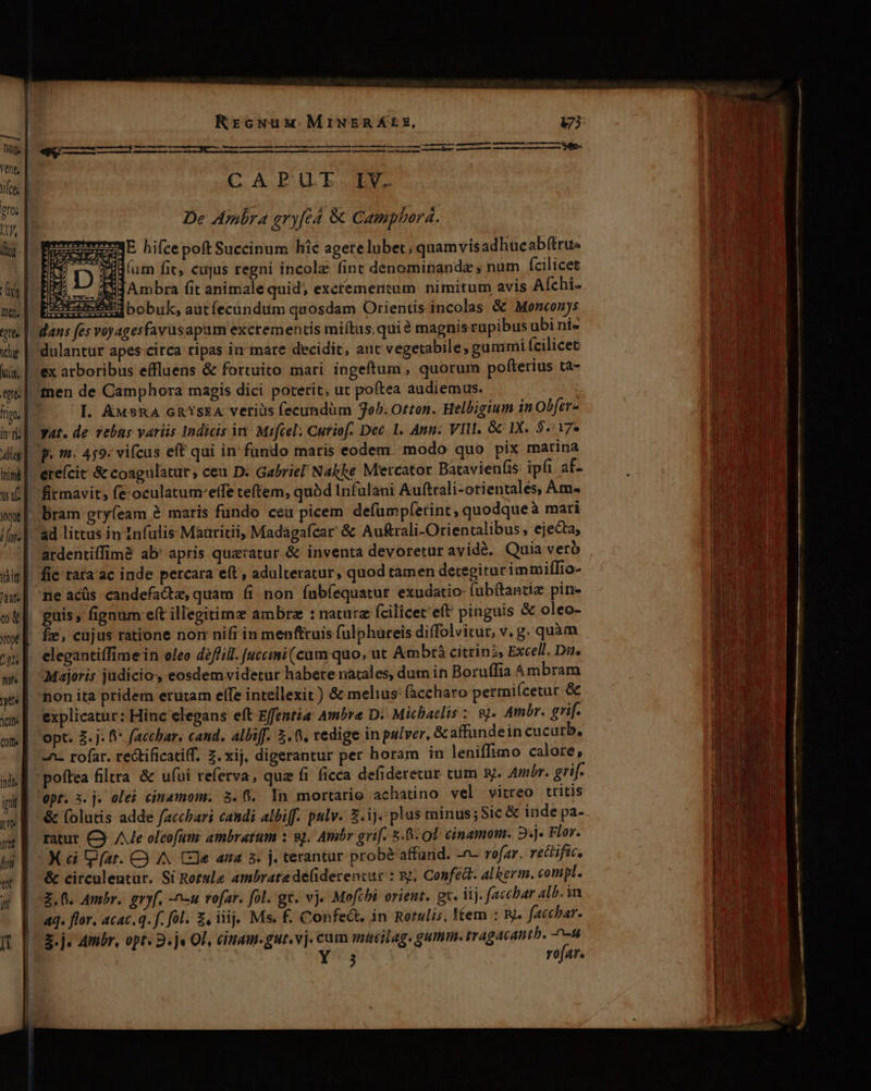 RrcwNuw.MriwNEAKÁtE, — Dior EL pagma e d vene, | ies | CA PUL.Lv. pr: [i JA dg. | fs nm ftt | ig | iis. f qu tio, f ivi vat. de vebas variis Indicis in Mifcel: Curiof- Dec. 1. Ann: VII, Gc IX. $«17* dig]. p. m: 459: vifcus eft qui in' fando maris eodem modo quo pix marina ii|. erefcit &amp; coagulatur, ceu D: Gabriel Nakke Metcator Batavien(is ipfi af- wf |. firmavit; fe-oculatum-effe teftem, quàd Infulani Auftrali-orientalés, Am» wwe |... Bram gryfeam à maris fundo cea picem defümpferint, quodqueà mari //ms| ad littus in Infulis- Mauritii, Madagafcar &amp; Au&amp;rali-Orientalibus, ejecta; | ardentiffim8 ab' apris queratur &amp; inventa devoretur avidé. Quia verb uit|- fic raraac inde percara e(t , adulteratur, quod tamen detegiturimmiffio- ne acüs candefactz, quam 6i non fubíequatur exudatio- (ubítantie pin- oM]. guis, fignum ef illegitimz ambrz : naturz fcilicet'eft pinguis &amp; oleo- fx, cujus ratione nom nifi in menftcuis fulphareis diffolvitur, v. g. quàm elegantiffimein oleo diflill. [uccimi (cam: quo, ut Ambr citrini, Excell. Dite Majoris judicio, eosdem videtur habere natales, dum in Boruffia 4 mbram non ita pridem erutam elfe intellexit) &amp; melius: (accharo permiícetur &amp; explicatur: Hinc elegans eft Effentia: Ambre Di Michaelis :. 8j. Ambr. grif. 'opt. Z. j: f* faccbar. cand. albiff. 5.0, redige in pulver, &amp;affundein cucurb, -^- rofar. rectificatiff. Z. xij. digerantur per horam in leniffimo calore, poftea filtra &amp; ufui referva, qua fi ficca defiderecur tum x. Am/r. grif- 'opt. 3. j. olei cimamonr, 3.6. In mortario achatino vel vitreo tritis &amp; folutis adde faccbari candi albiff. pulv. 3.ij. plus minus; Sic &amp; inde pa- ratur C3 Ae oleofum: ambratum : sj, Ambr grif. 5.06. 0L cinamom. Bj. Flor. K ei fat. C) A^ Ce ana 3. j. terantur probé affund. -n- rofar. recific. &amp; circulentur. Si Rotule ambratede(iderencur : sj; Confett. alkerm. compl. Z,0. Ambr. gryf, -n-u rofar. fol. gt. vj« Mofibi orient. gz. iij. f(accbar alb. in | «q. flor, acac. q. f. fol. £, iij. Ms. f. Confeát, in Rotulis, Kem : Ry. facchar. | Y 5 rofar.