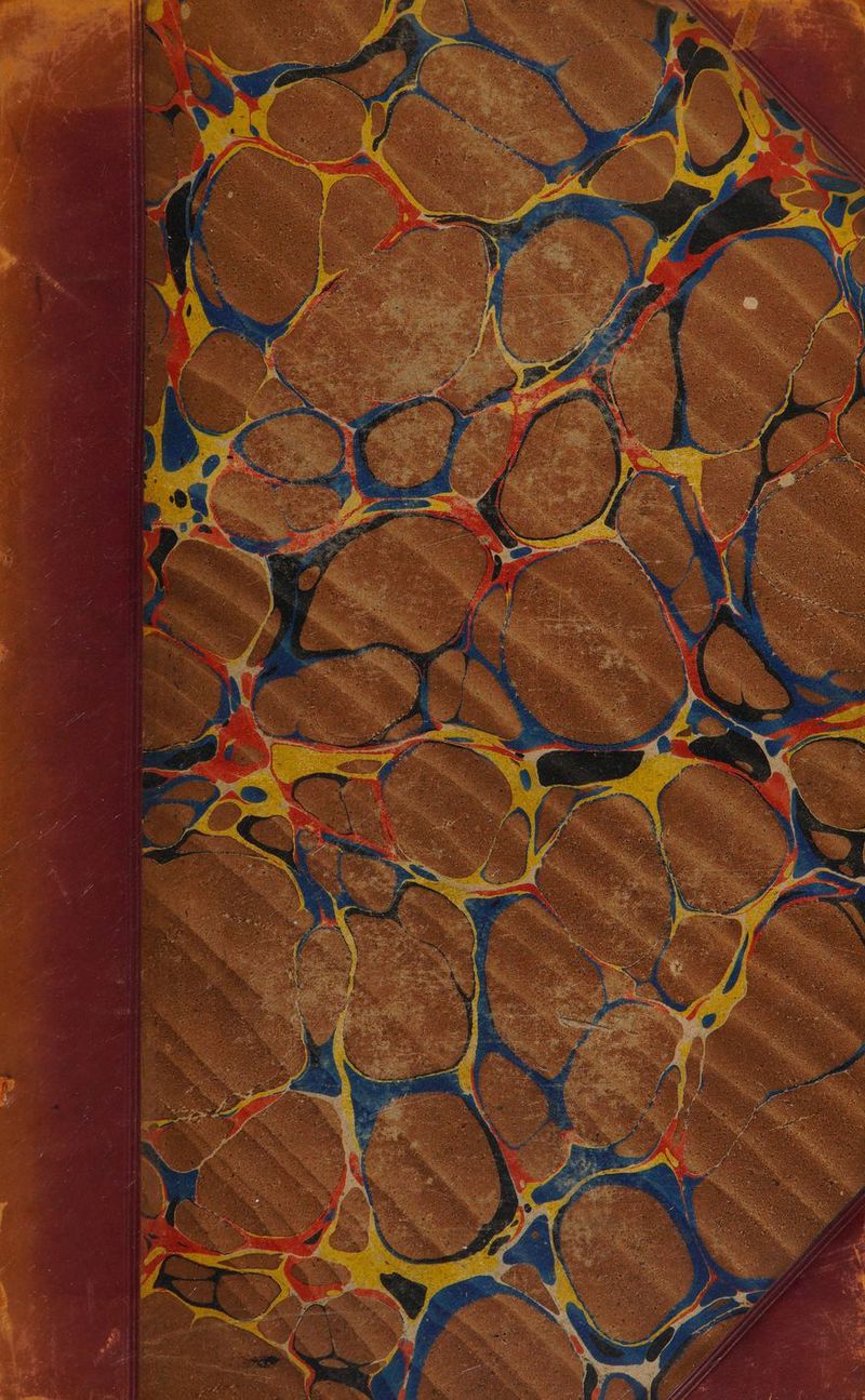 No text description is available for this image