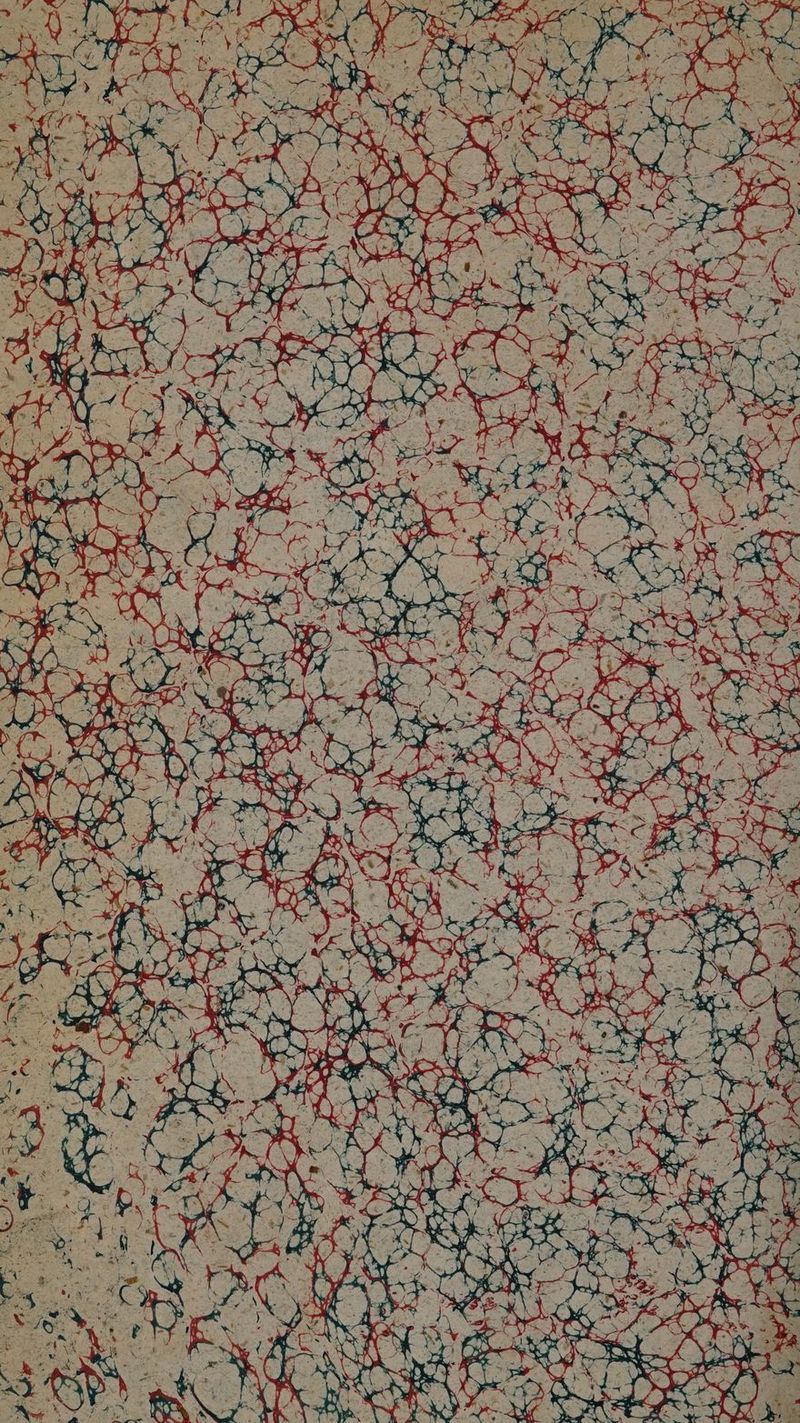 No text description is available for this image