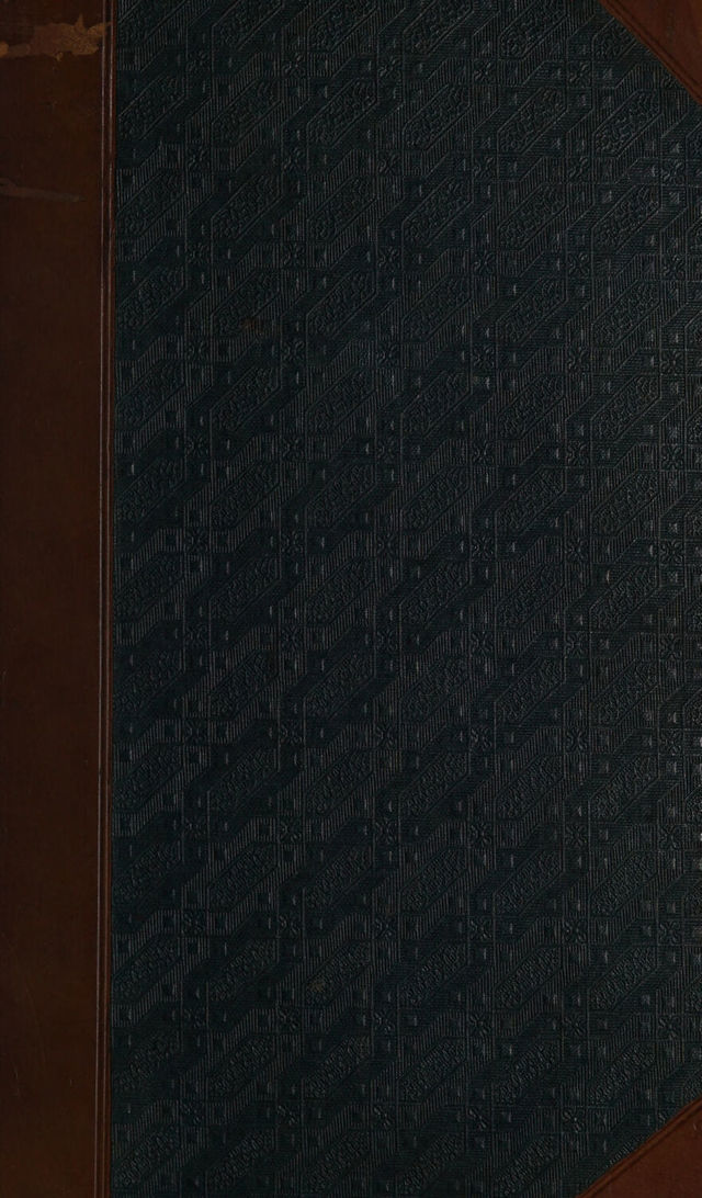 digitised image 1