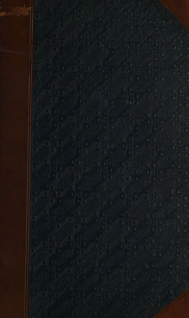 digitised image 1
