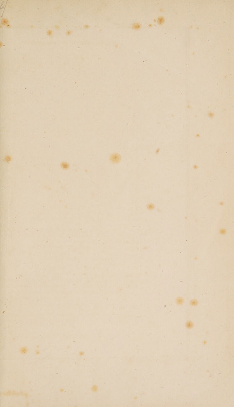 ’ wt et Leet , ¥ oe ie _ Met aes ek