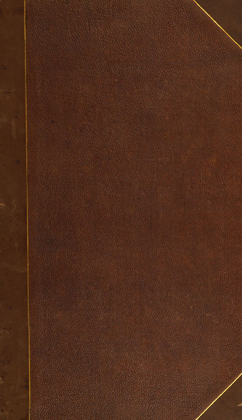 Ok OANA PUPA PR ee, SEMAN EEE So hthy . ag EN ACAA Sway NMS § BAT ASE Sy rRNA fy F LR AAGS DO TE MN Oh Rte PAR PED Bas DRA Ce dc rte ty hy PANERAI EAC ARAM HEC ee A 4 uy ‘ : Ret hy kA Det rae Na : fF ent aN a al ah i . ms VEY SUATICEM a EiNa | NYG NS i ATER Pd 4 P eh a ‘ iu : sane ye : rita wi Swe ty) ay tI he ; \ Aa Re Kee MB Oe Wak Et Rat Oh eat rte a. . \ : VS i ! ye 1) A) st Be om j 4 x ine ya ht ne Y ° SET ie wwe y Ar HD .y a) 4) . Laon: ‘ ye icatcieeet . ® ‘ me a * “Us wt