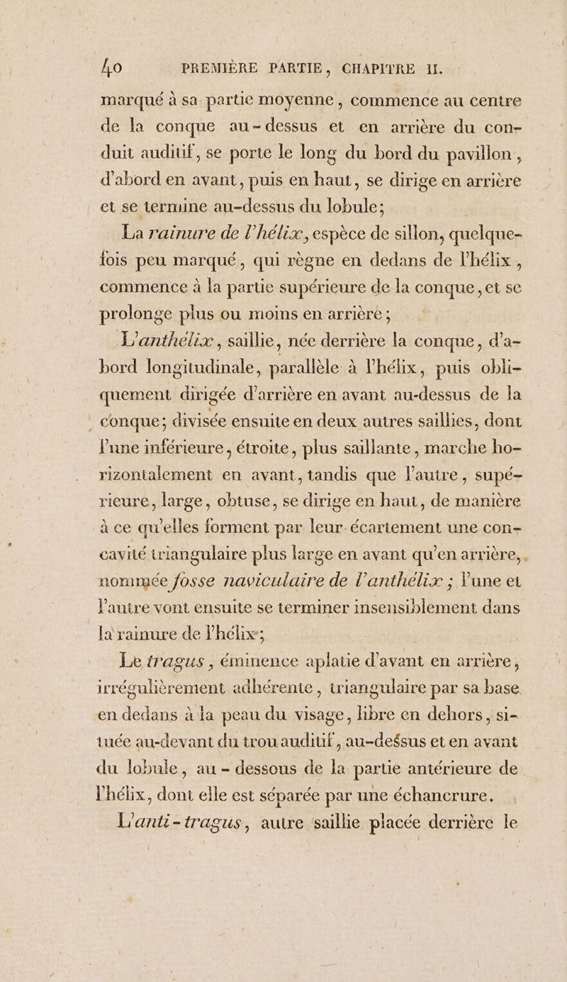 marqué à sa partie moyenne, commence au centre de la conque au-dessus et en arrière du con- duit audiuf, se porte le long du bord du pavillon, d'abord en avant, puis en haut, se dirige en arrière et se termine au-dessus du lobule; | La r'ainure de l’hélix, espèce de sillon, quelque- lois peu marqué, qui règne en dedans de l’hélix, commence à la partie supérieure de la conque, et se prolonge plus ou moins en arrière ; L’anthélix, saillie, née derrière la conque, d’'a- bord longitudinale, parallèle à l’hélix, puis obli- quement dirigée d’arrière en avant au-dessus de la . conque; divisée ensuite en deux autres saillies, dont l'une inférieure, étroite, plus saillante, marche ho- rizontalement en avant, tandis que l’autre, supé- rieure, large, obtuse, se dirige en haut, de manière à ce quelles forment par leur écariement une con- cavité triangulaire plus large en avant qu’en arrière, nommée fosse naviculaire de l’anthélix ; Vune et l’autre vont ensuite se terminer insensiblement dans la rainure de Phélix; Le tragus , éminence aplatie d'avant en arrière, irrégulièrement adhérente, triangulaire par sa base en dedans à la peau du visage, libre en dehors, si- tuée au-devant du trou audiuf, au-de$sus et en avant du lobule, au - dessous de la partie antérieure de l’'hélix, dont elle est séparée par une échancrure. L'anti-tragus, autre saillie placée derrière le