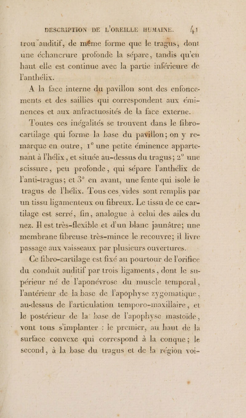 trou auditif, de même forme que le tragus, dont une échancrure profonde la sépare, tandis qu'en haut elle est continue avec la Re inférieure de Panthélix. gt À la face interne du pavillon sont des enfonce- ments et des saillies qui correspondent aux émi- nences et aux anfractuosités de la face externe. Fouites ces inégalités se trouvent dans le fibro- cartilage qui forme la base du pavillon; on y re- marque en outre, I‘ une petite éminence apparte- nant à l’hélix , et située au-dessus du tragus; 2° une scissure, peu profonde, qui sépare l’anthélix de l'anu-tragus; et 3° en avant, une fente qui isole le tragus de lhélix. Tous ces vides sont remplis par un tissu ligamenteux ou fibreux. Le tissu de cé car- tilage est serré, fin, analogue à celui des ailes du nez. Fest très-flexible et d'un blanc jaunâtre; une membrane fibreuse très-mince le recouvre; il livre passage aux vaisseaux par plusieurs ouveriures. Ce fibro-cartilage est fixé au pourtour de Vorifice du conduit auditif par trois ligaments , dont le su- périeur né de l’aponévrose du nn temporal, l'antérieur de la base de lapophyse zygomatique, au-dessus de laruüculation temporo-maxillaire, et le postérieur de la base de lapophyse mastoide, vont tous s'implanter : le premier, au haut de la surface convexe qui correspond à la conque ; le second, à la base du iragus et de la région voi-