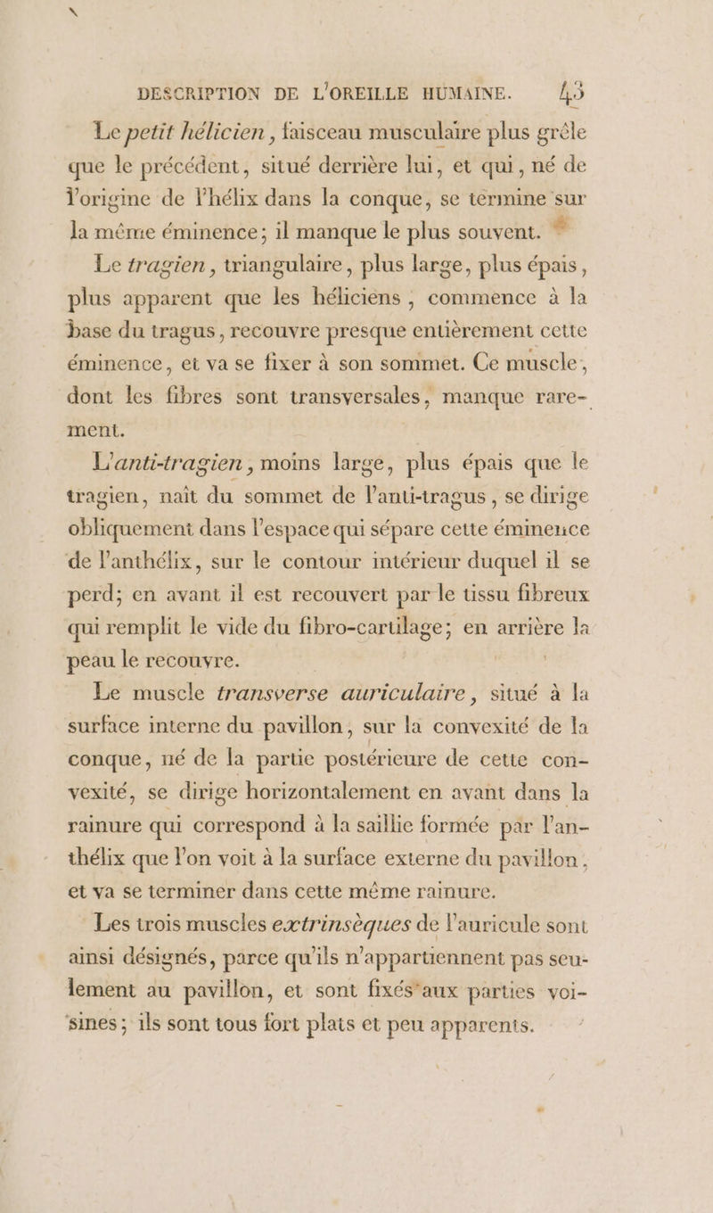 Le petit hélicien , faisceau musculaire plus grêle que le précédent, situé derrière lui, et qui, né de Yorigine de lhélix dans la conque, se termine sur Ja même éminence; il manque le plus souvent. bi Le tragien , triangulaire, plus large, plus épais, plus apparent que les héliciens , commence à la base du tragus, recouvre presque entièrement cette éminence, et va se fixer à son sommet. Ce muscle, dont les fibres sont transversales, manque rare- ment. L'anti-tragien , moins large, plus épais que le tragien, nait du sommet de lanti-tragus , se dirige obliquement dans l’espace qui sépare cette éminenice de lanthélix, sur le contour intérieur duquel il se perd; en avant il est recouvert par le üissu fibreux qui remplit le vide du fibro-carulage; en arrière la peau le recouvre. | Le muscle transverse auriculaire, situé à la surface interne du pavillon, sur la convexité de la conque, né de la partie postérieure de cette con- vexité, se dirige horizontalement en avant dans la rainure qui correspond à la saillie formée par l'an- thélix que l’on voit à la surface externe du pavillon, et va se terminer dans cette même rainure. Les trois muscles extrinsèques de l’auricule sont ainsi désignés, parce qu'ils n'appartiennent pas seu- lement au pavillon, et sont fixés'aux parties voi- sines ; ils sont tous fort plais et peu apparenis.