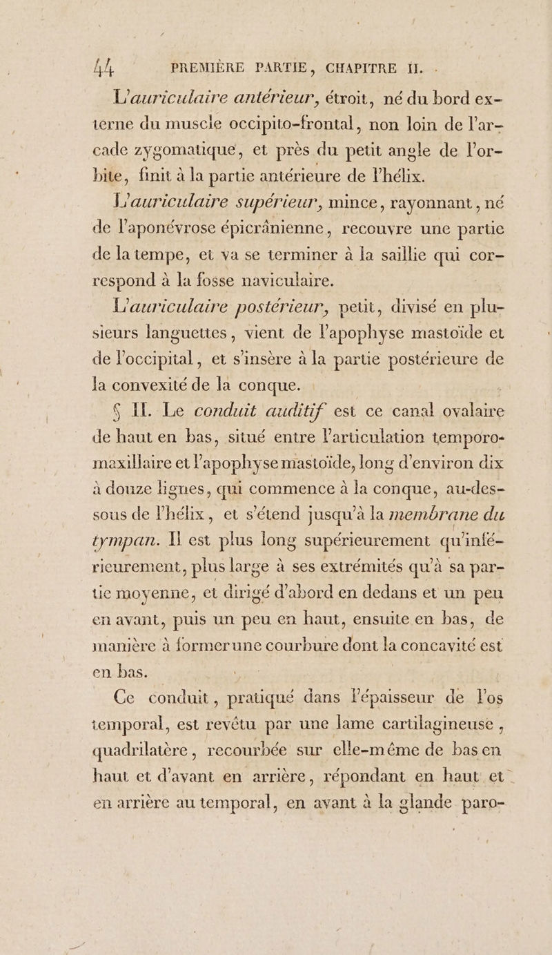 L'auriculaire antérieur, étroit, né du bord ex- ierne du muscie occipito-frontal, non loin de l'ar- cade zygomatique, et près du petit angle de l’or- bite, finit à la parte antérieure de lhélix. L'auriculaire supérieur, mince, rayonnant , né de l’aponévrose épicrânienne, recouvre une partie de la tempe, et va se terminer à la saillie qui cor- respond à la fosse naviculaire. L'auriculaire postérieur, petit, divisé en plu- sieurs languettes, vient de l’apophyse mastoïde et de loccipital, et s’insère à la partie postérieure de Ja convexité de la conque. | $ IL Le conduit auditif est ce canal ovalaire de haut en bas, situé entre larticulation temporo- maxillaire et lapophyse mastoide, long d'environ dix à douze lignes, qui commence à la conque, au-des- sous de l'hélix, et s'étend jusqu’à la membrane du tympan. I est plus long supérieurement qu’infé- rieurement, plus large à ses extrémités qu’à sa par- tie moyenne, et dirigé d’abord en dedans et un peu en avant, puis un peu en haut, ensuite en bas, de manière à formerune courbure dont la concavité est en bas. | Ce conduit, pratiqué dans épaisseur de l'os temporal, est revêtu par une lame cartilagineuse , quadrilatère, recourbée sur elle-même de bas en haut et d'avant en arrière, répondant en haut et en arrière au temporal, en avant à la glande paro-