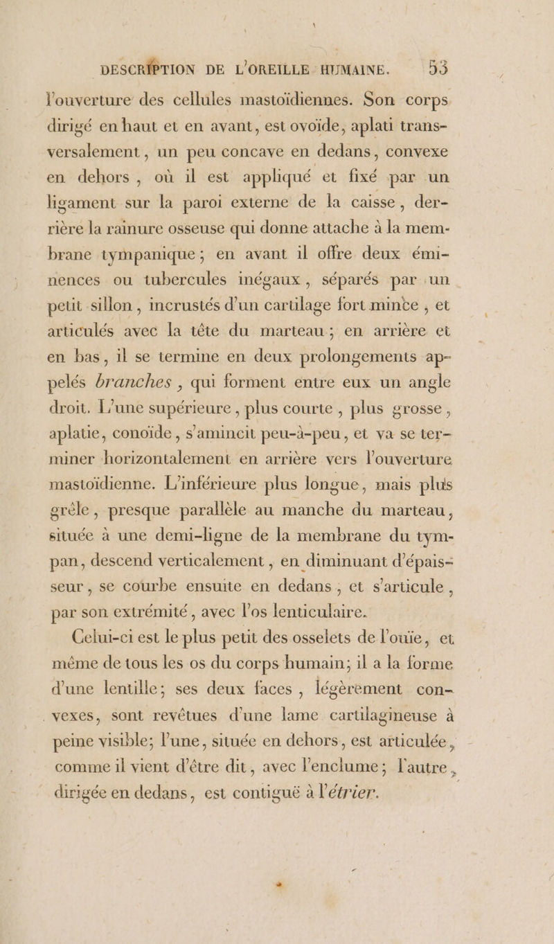 1 DESCRIPTION DE L'OREILLE : HUMAINE. 53 l'ouverture des cellules mastoïdiennes. Son corps dirigé en haut et en avant, est ovoïde, aplati trans- versalement , un peu concave en dedans, convexe en dehors , où il est appliqué et fixé par un ligament sur la paroi externe de la caisse, der- rière la rainure osseuse qui donne attache à la mem- brane tympanique; en avant il offre deux émi- nences ou tubercules inégaux, séparés par un petit sillon, incrustés d’un cartilage fort mince , et articulés avec la tête du marteau; en arrière et en bas, il se termine en deux prolongements ap- pelés branches , qui forment entre eux un angle droit, l’une supérieure , plus courte , plus grosse, aplatie, conoïde , s’amincit peu-à-peu, et va se ter- miner horizontalement en arrière vers l'ouverture mastoïdienne. L’inférieure plus longue, mais plus grèle, presque parallèle au manche du marteau, située à une demi-ligne de la membrane du tym- pan, descend verticalement , en diminuant d’épais- seur , se courbe ensuite en dedans , et s'articule, par son extrémité , avec l'os lenticulaire. Celui-ci est le plus petit des osselets de l'ouie, et même de tous les os du corps humain; il a la forme d’une lentille; ses deux faces , légèrement con- _vexes, sont revêtues d'une lame cartilagineuse à peine visible; l’une, située en dehors, est articulée, comme il vient d’être dit, avec l’enclume; l'autre, dirigée en dedans, est contigué à l’étrier.
